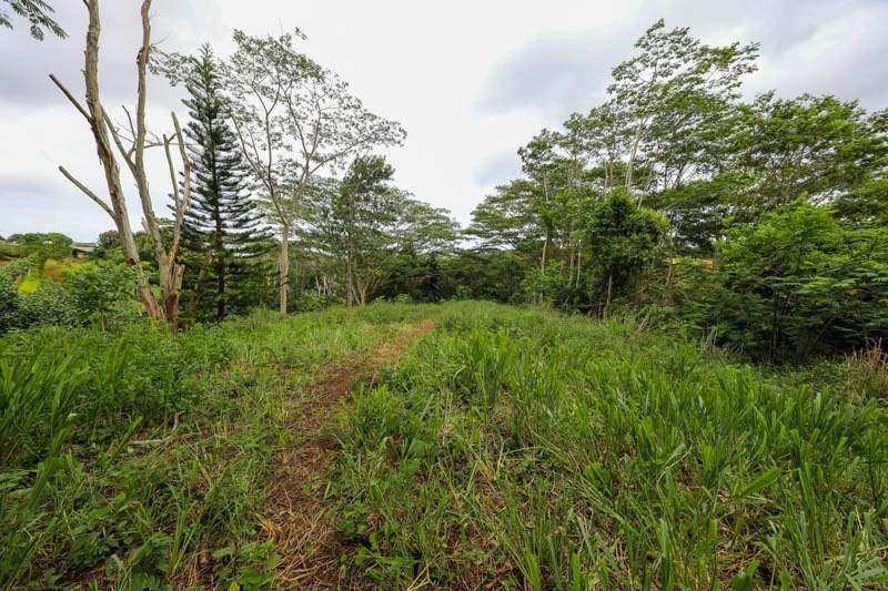 Omao Rd Property Photo 20