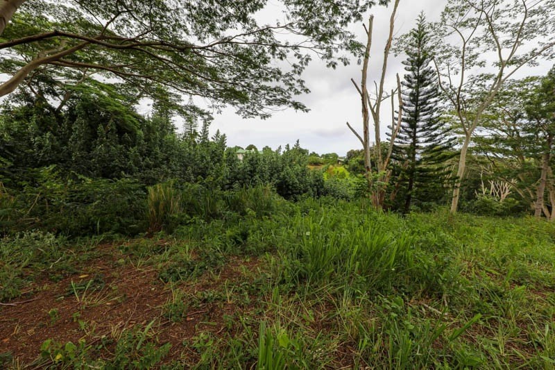 Omao Rd Property Photo 21