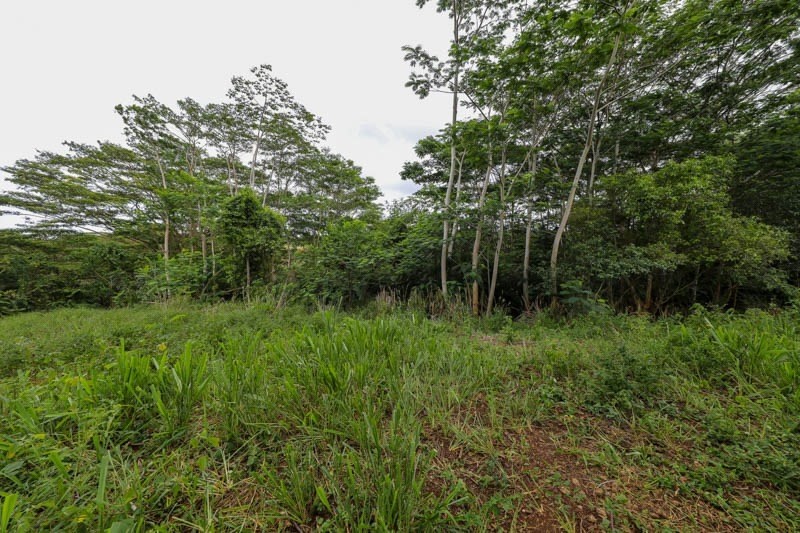Omao Rd Property Photo 23
