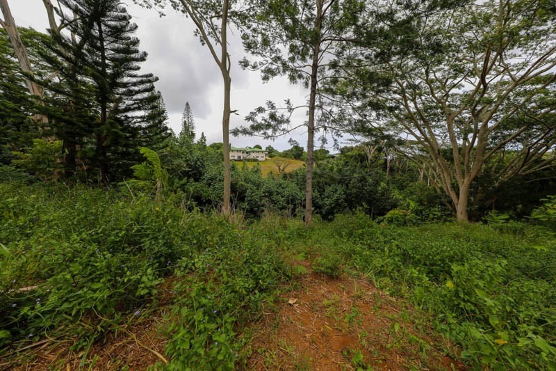 Omao Rd Property Photo 25