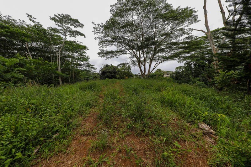 Omao Rd Property Photo 26