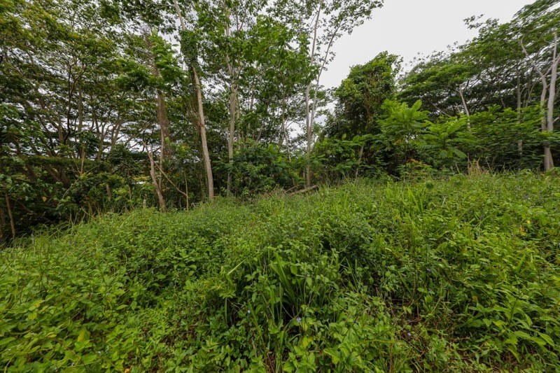 Omao Rd Property Photo 27