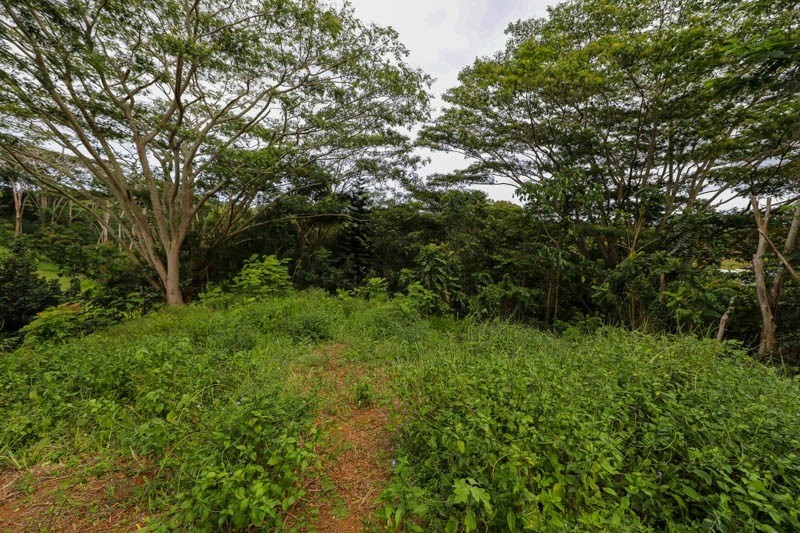 Omao Rd Property Photo 28
