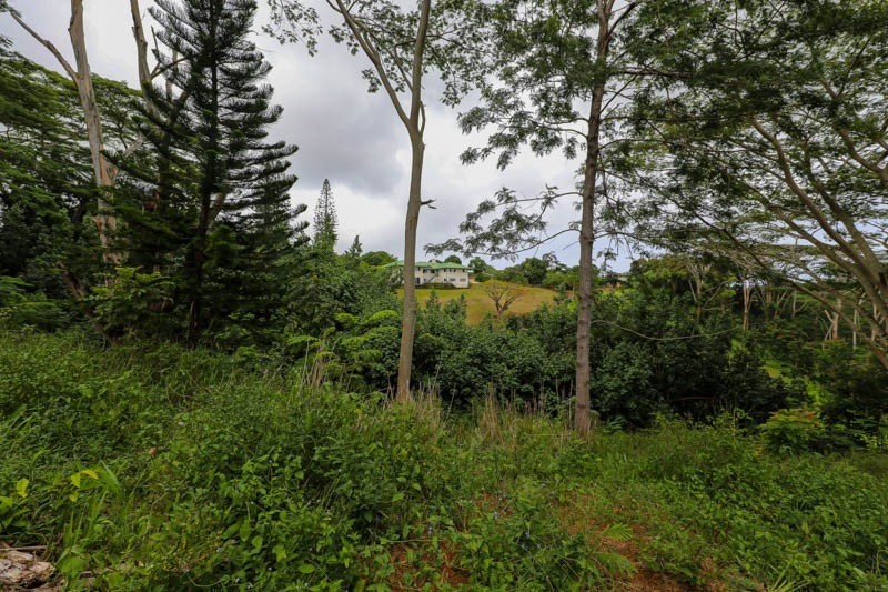 Omao Rd Property Photo 29