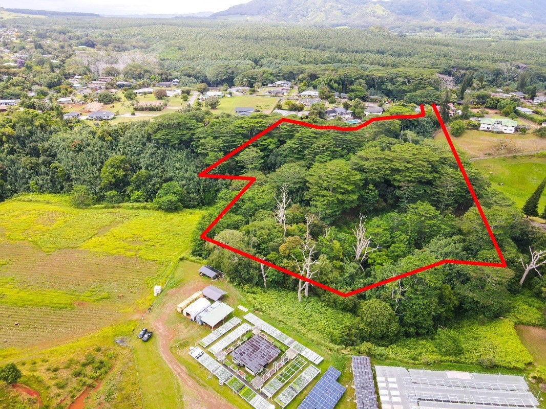 Omao Rd Property Photo 30