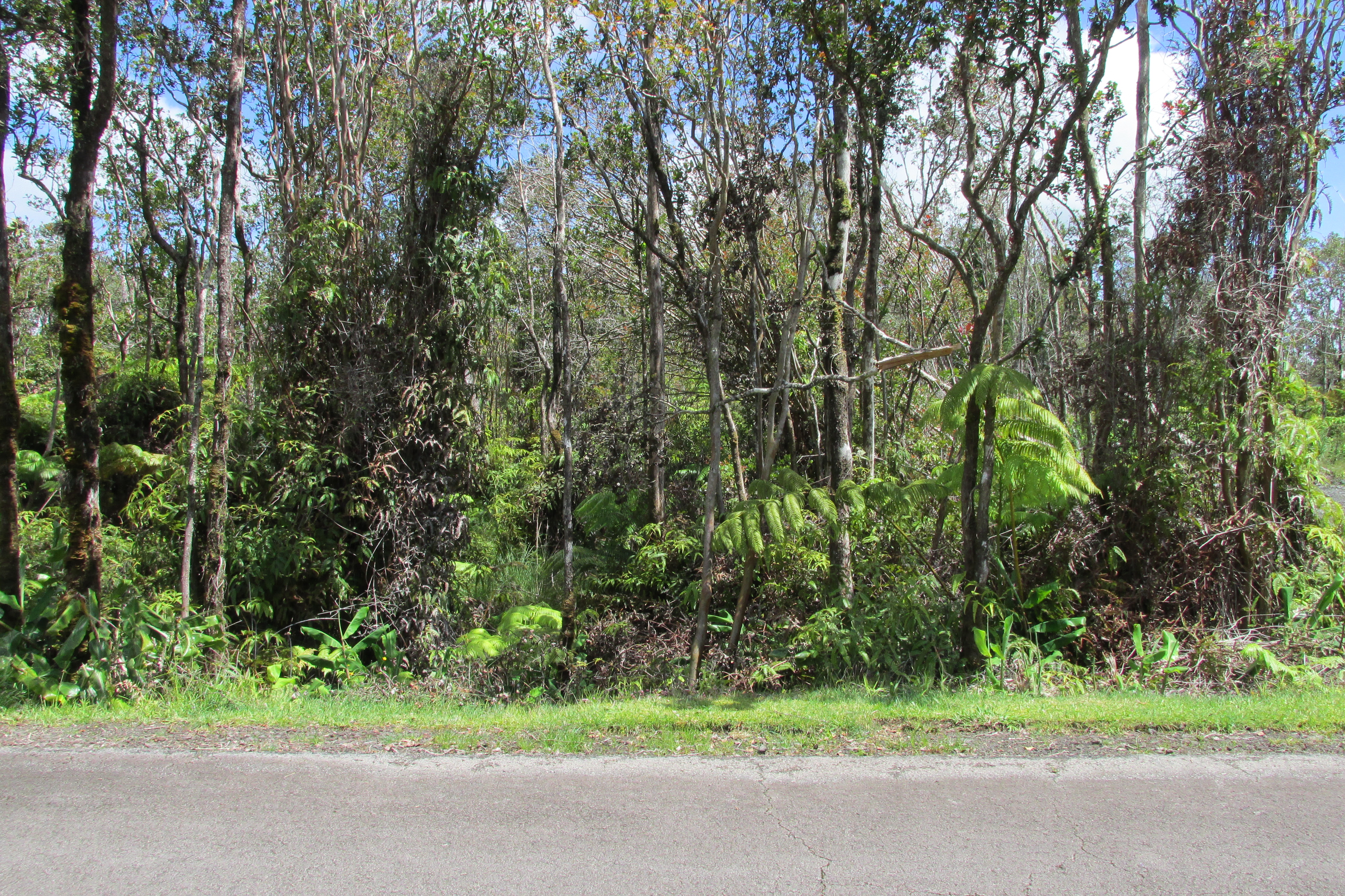 Mokuna St Property Photo 1