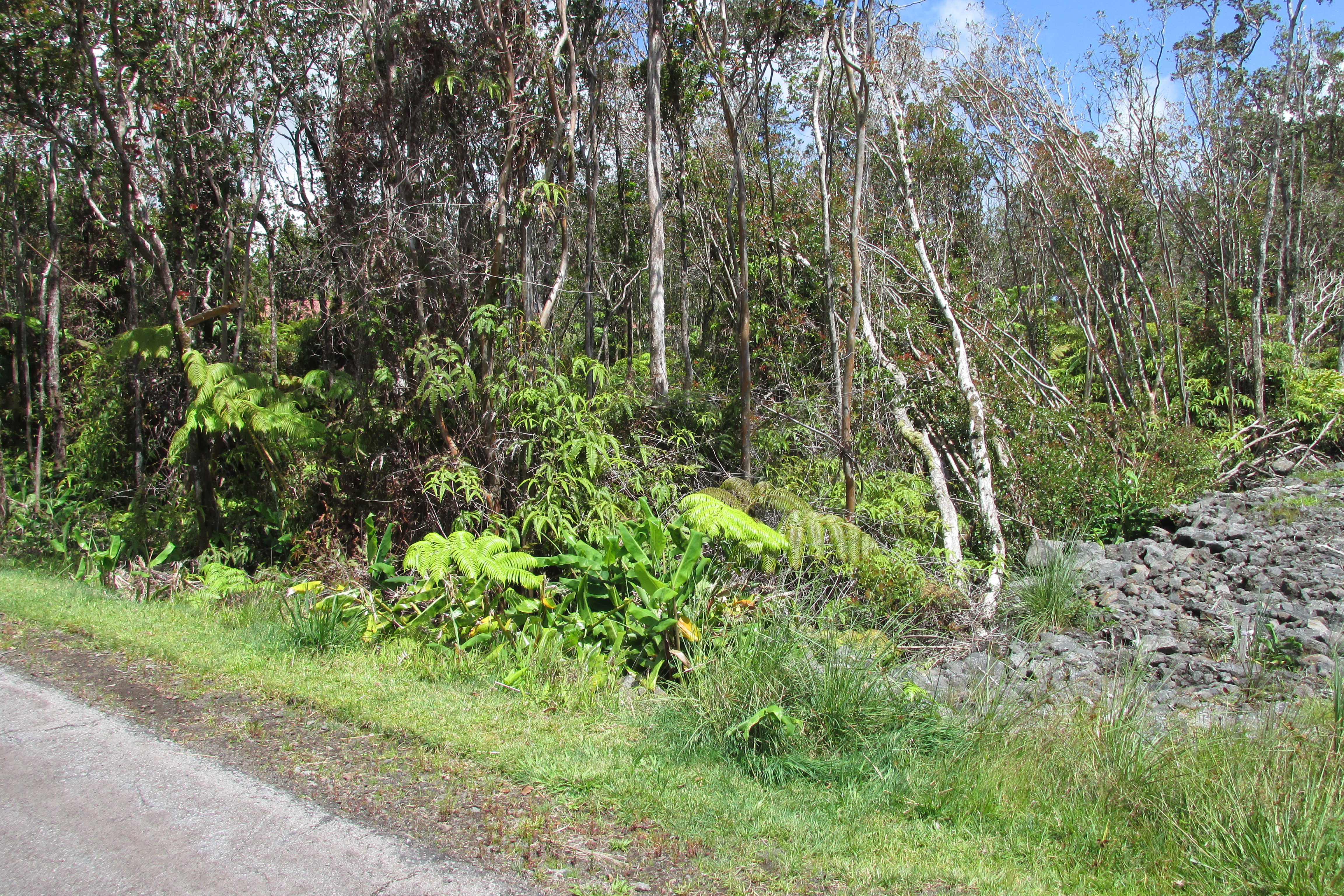 Mokuna St Property Photo 4