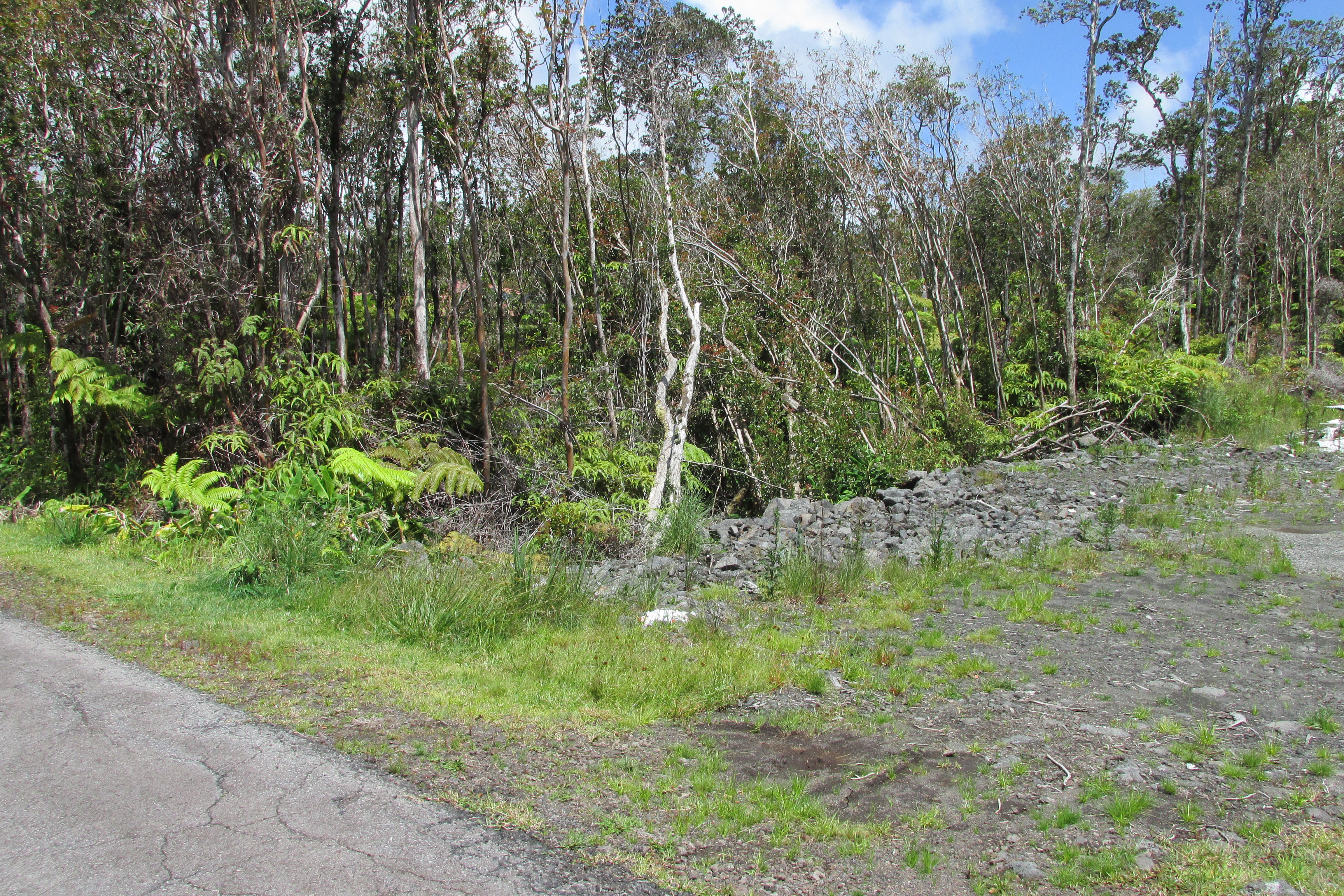 Mokuna St Property Photo 5