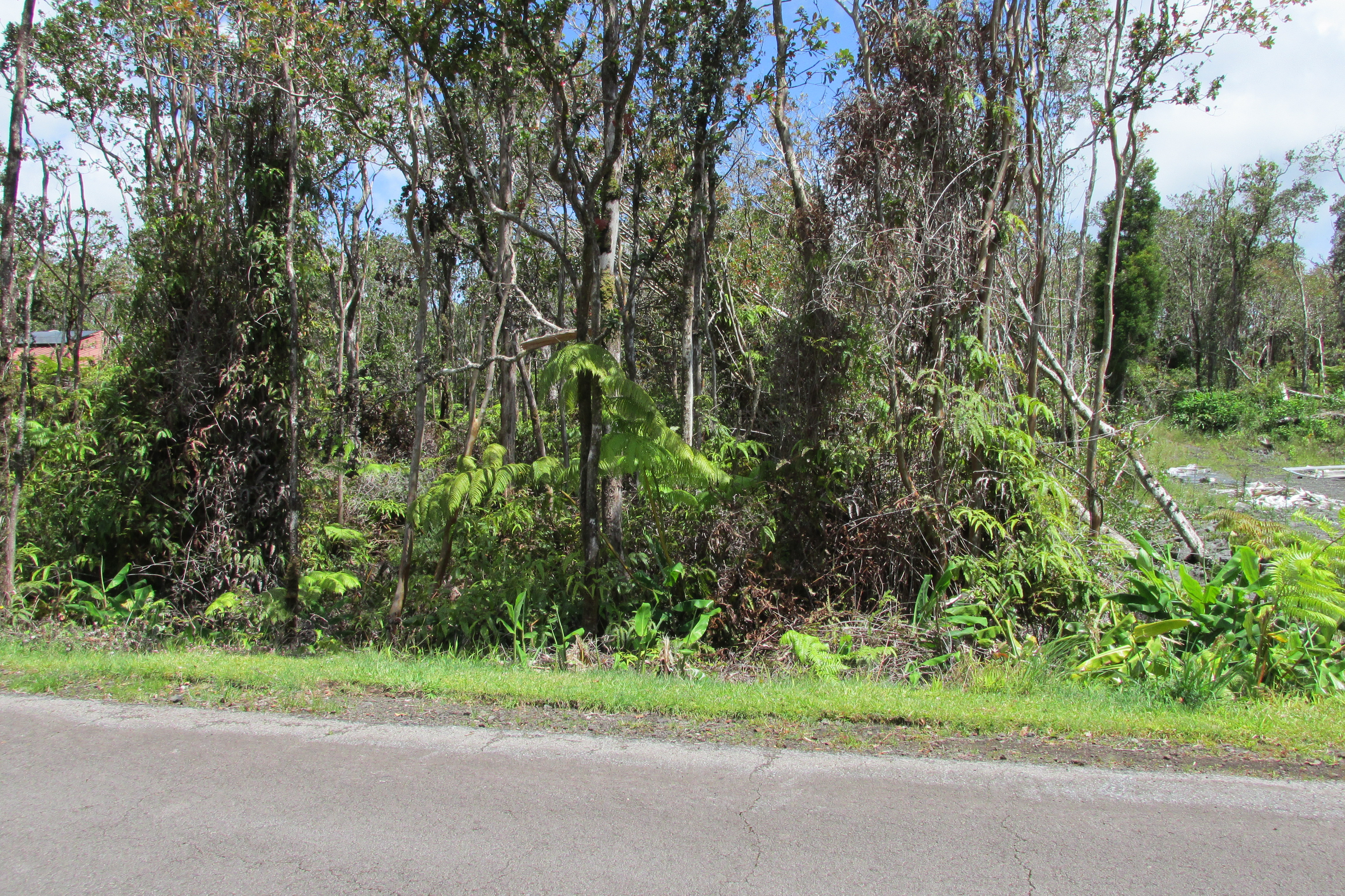 Mokuna St Property Photo 6