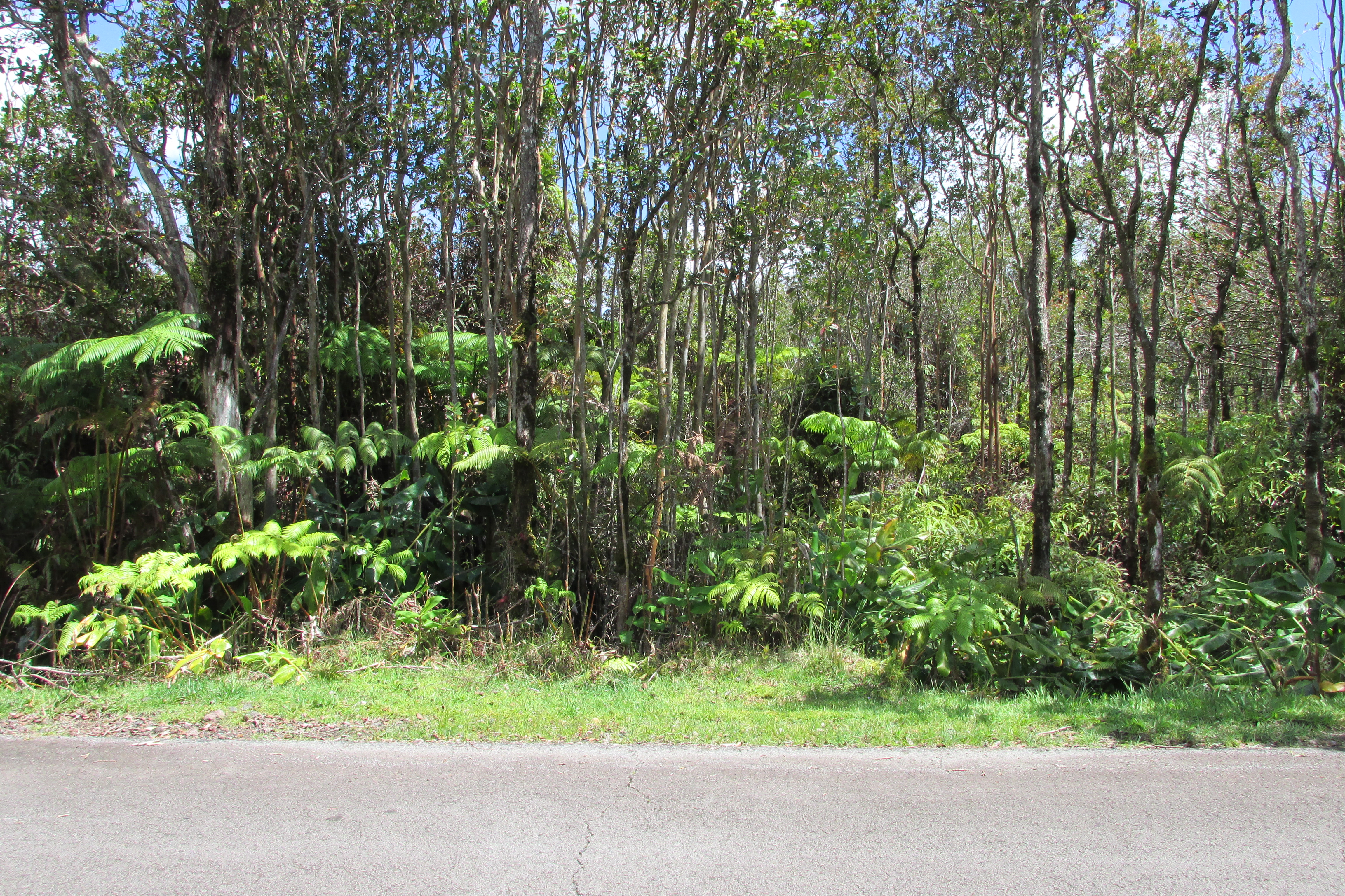 Mokuna St Property Photo 8