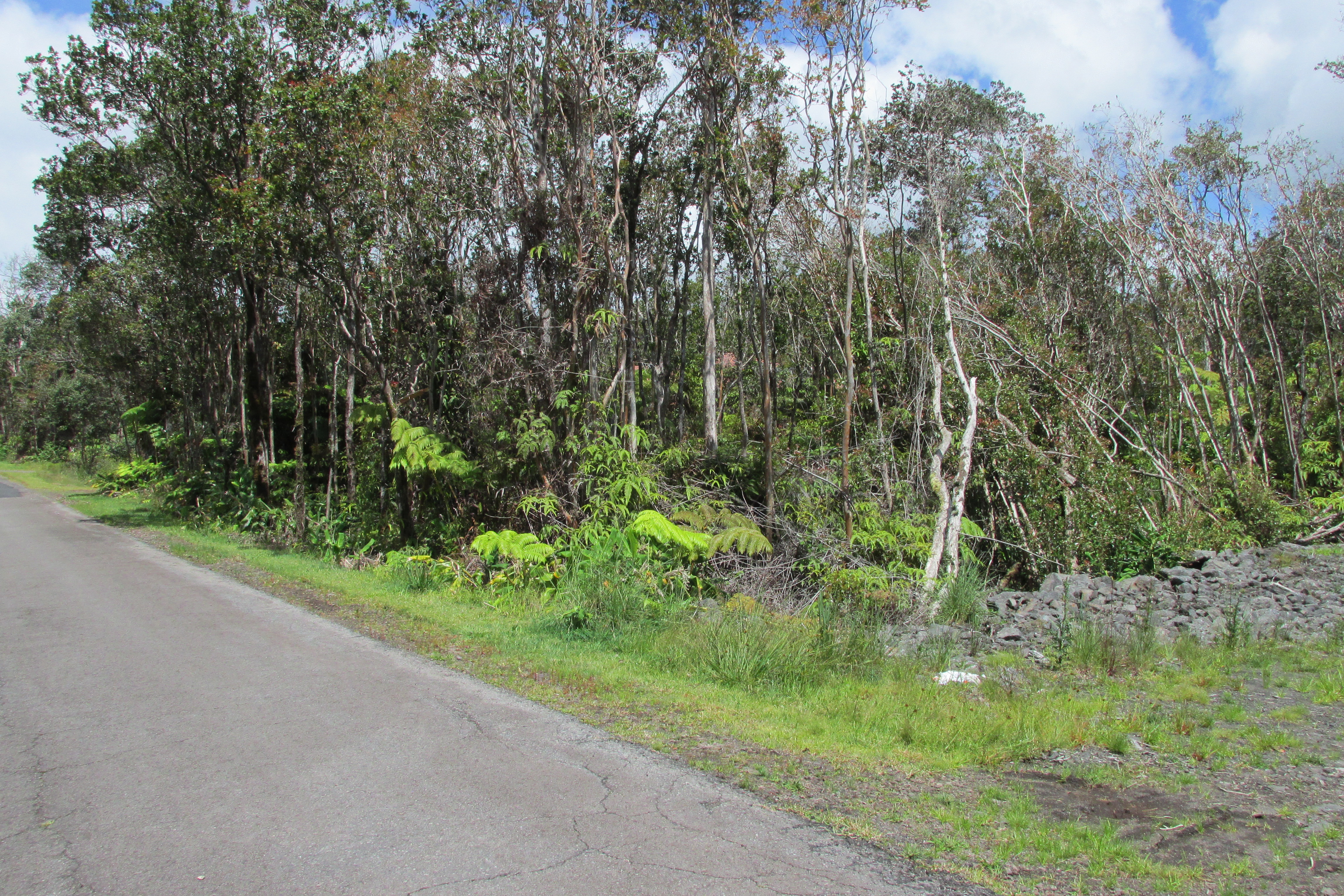 Mokuna St Property Photo 14