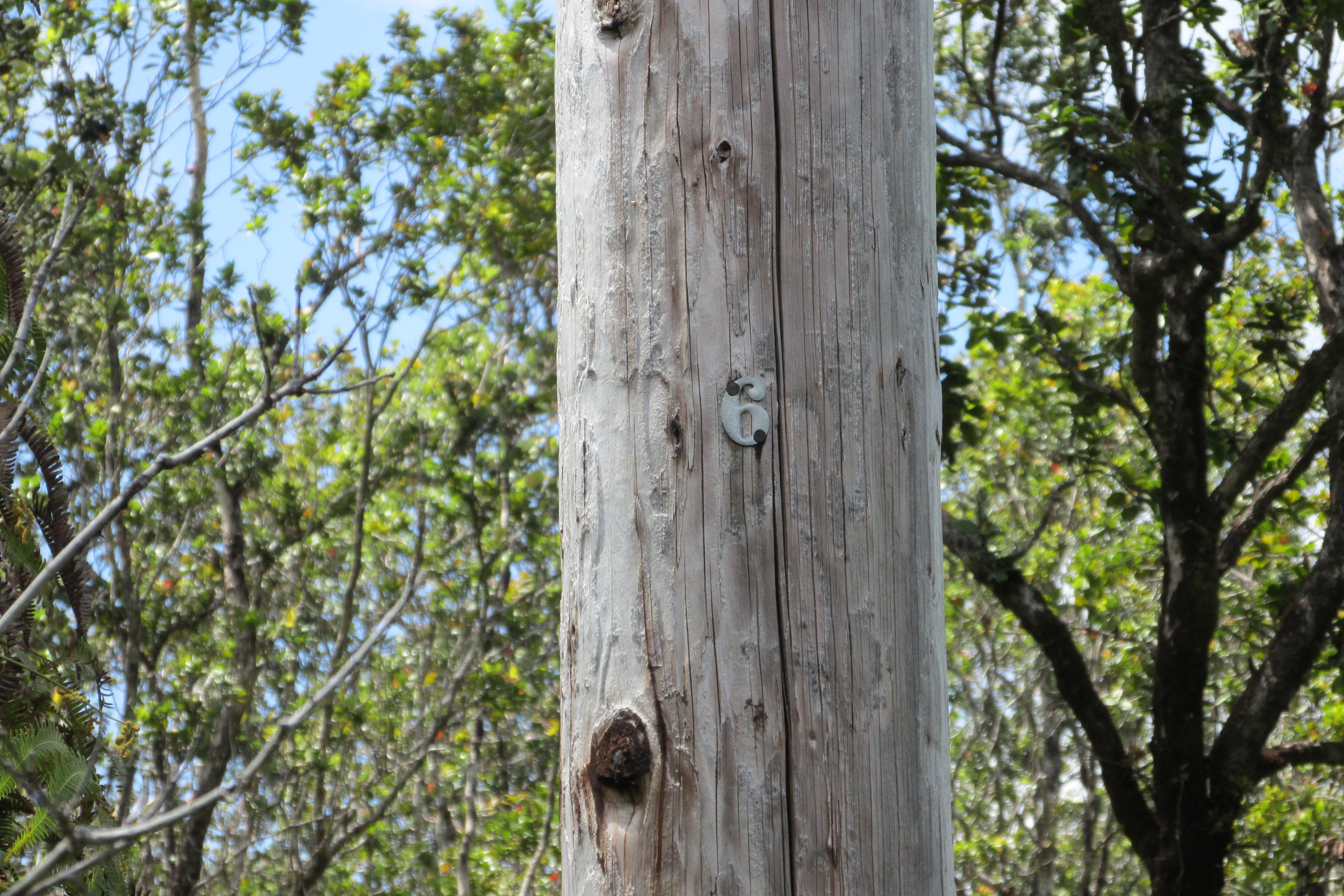 Mokuna St Property Photo 15