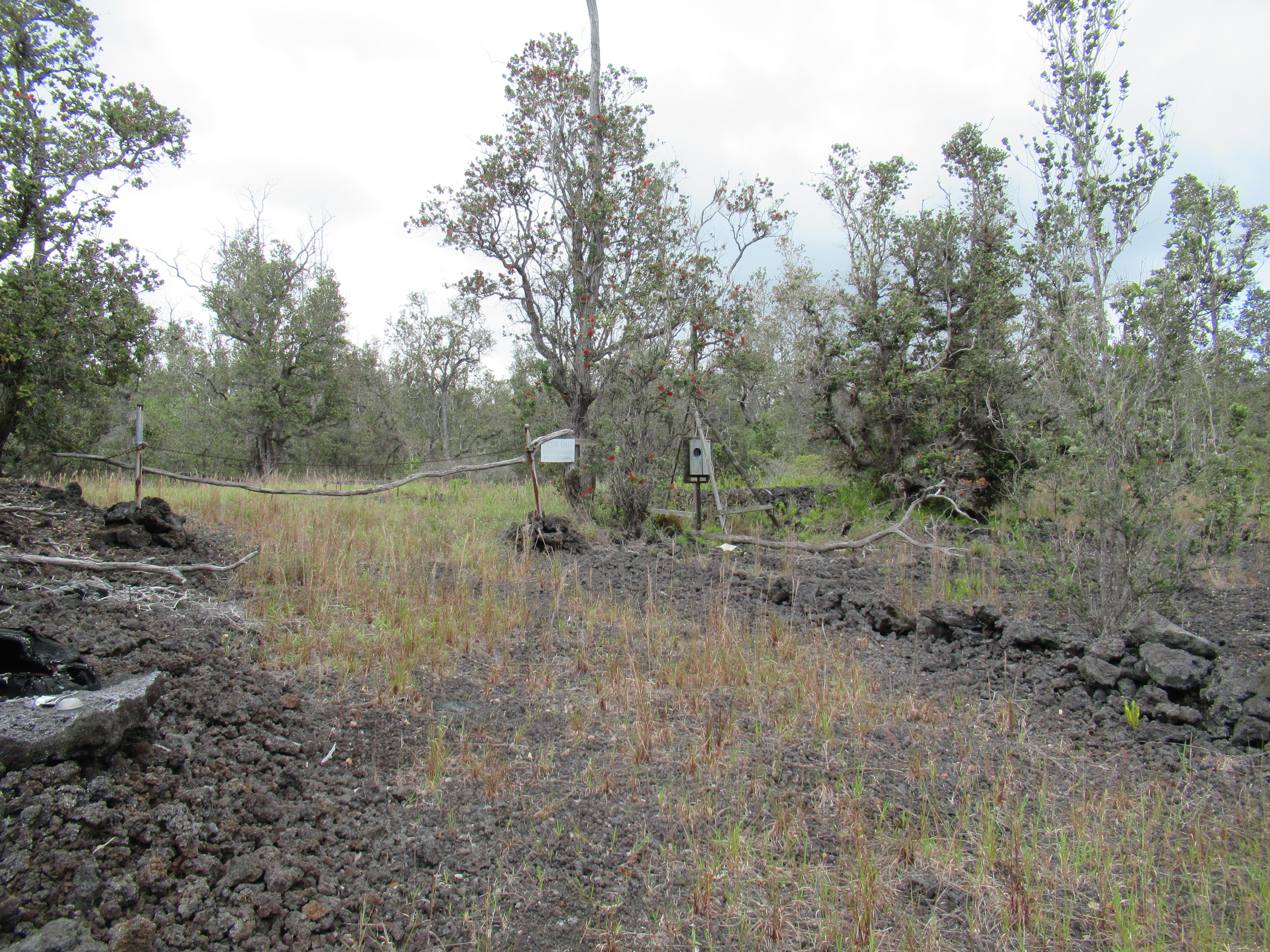 Aloha Blvd Property Photo 1