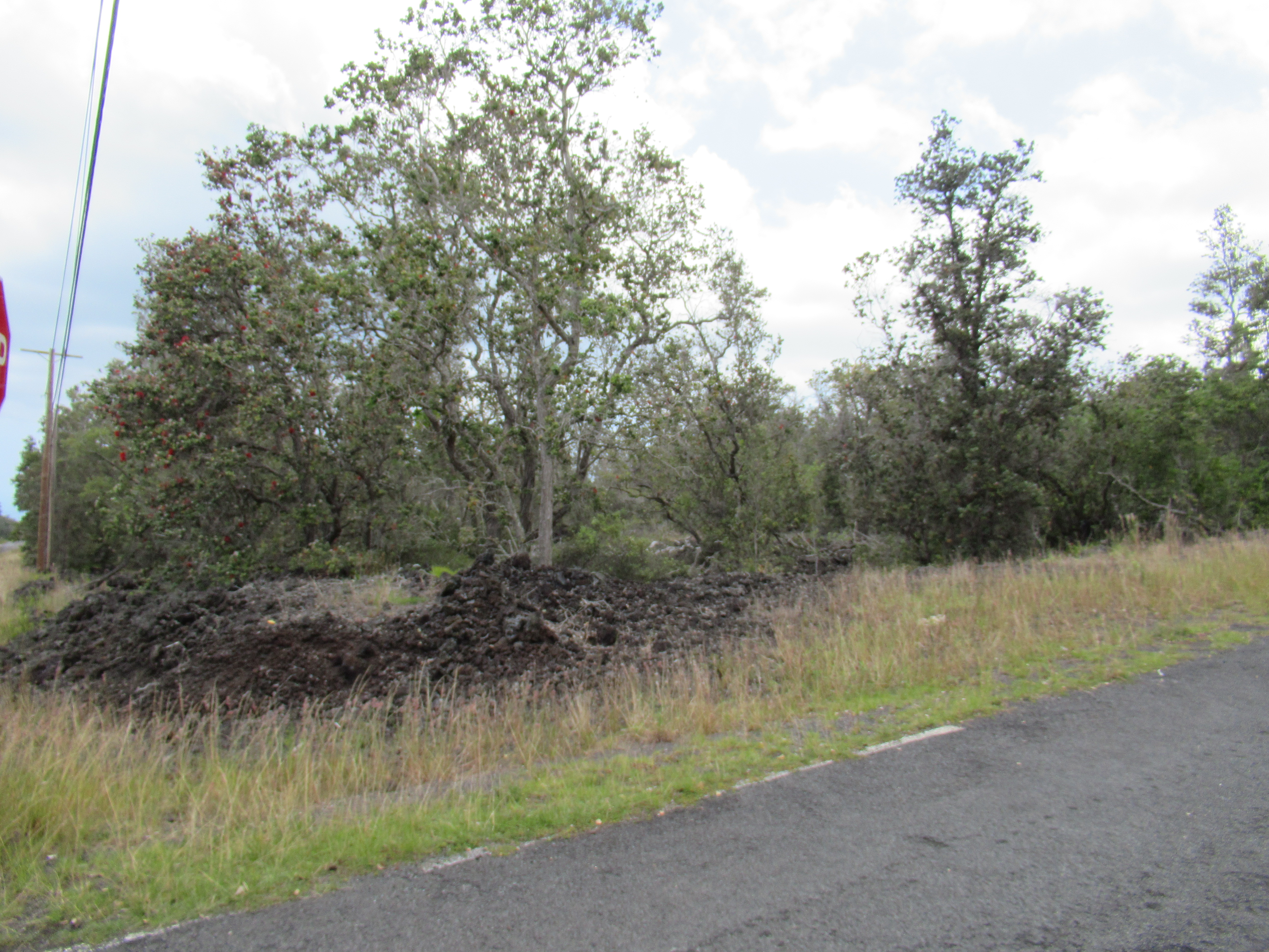 Aloha Blvd Property Photo 2