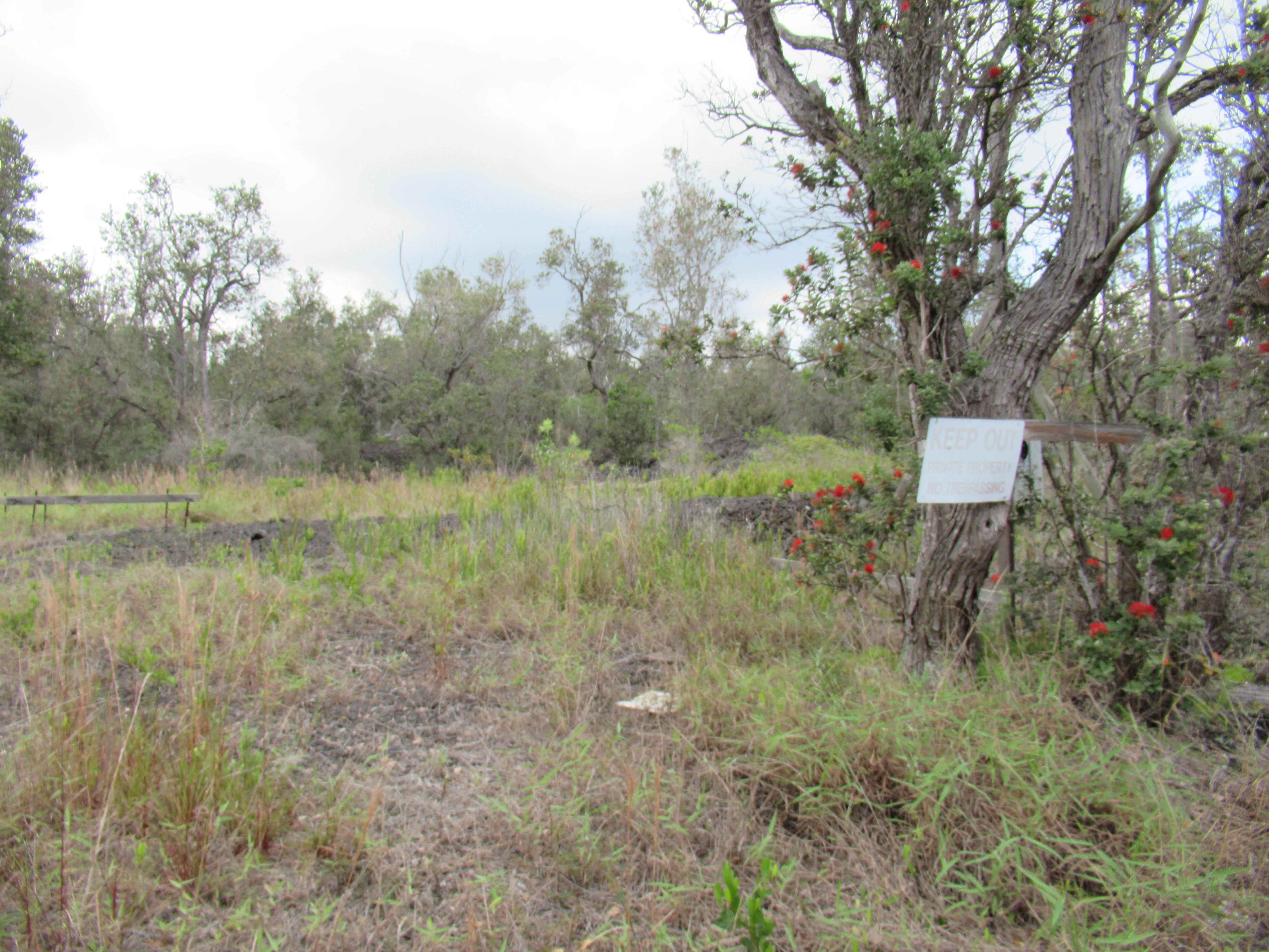 Aloha Blvd Property Photo 6