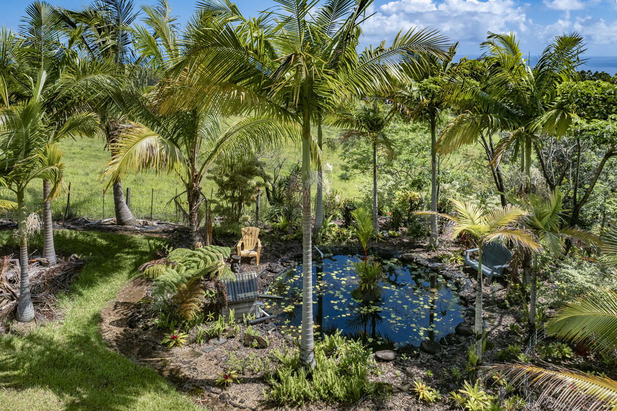 35-1655 Maulua Nui Rd Property Photo 27