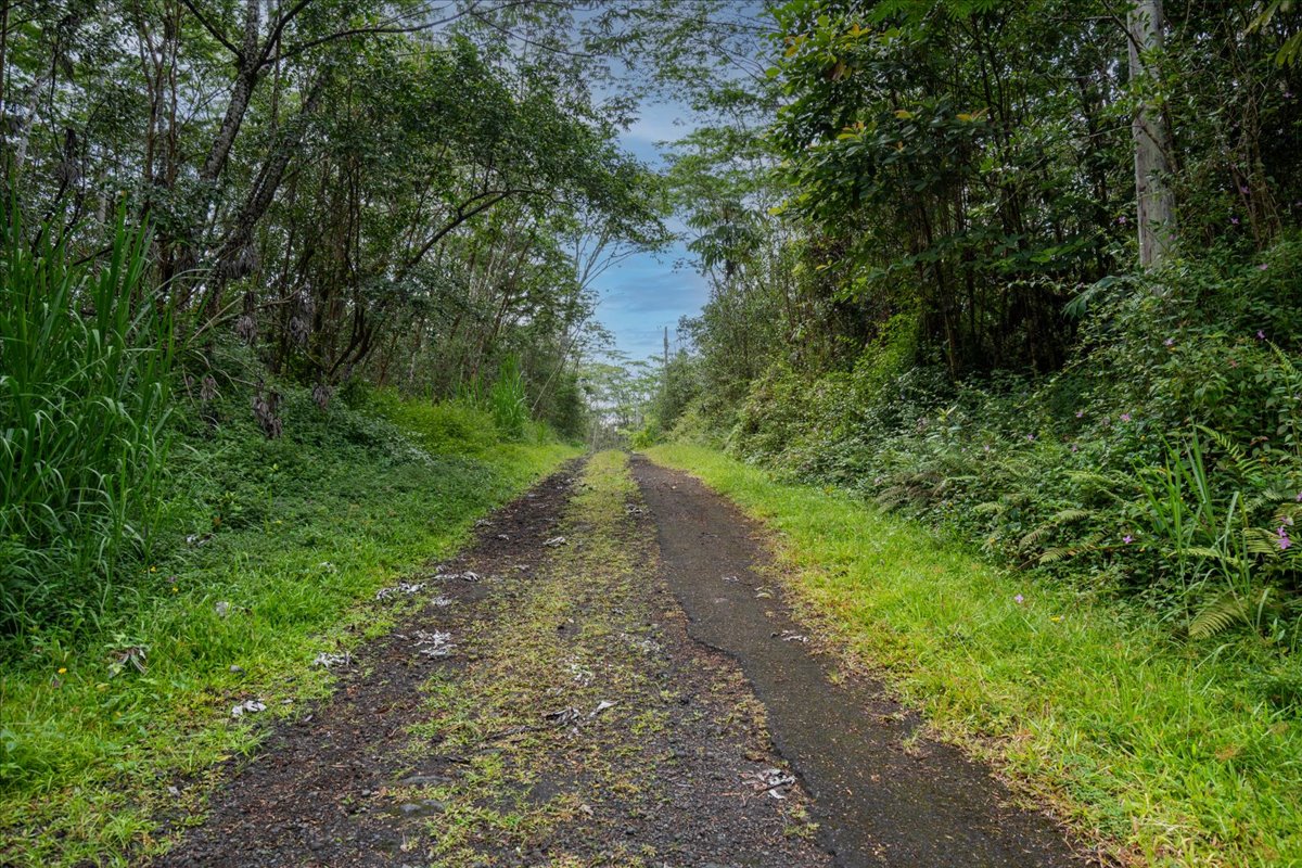 14-3515 Hilo Circle Property Photo 10