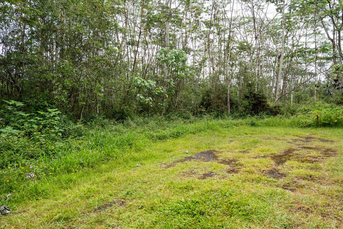14-3515 Hilo Circle Property Photo 11