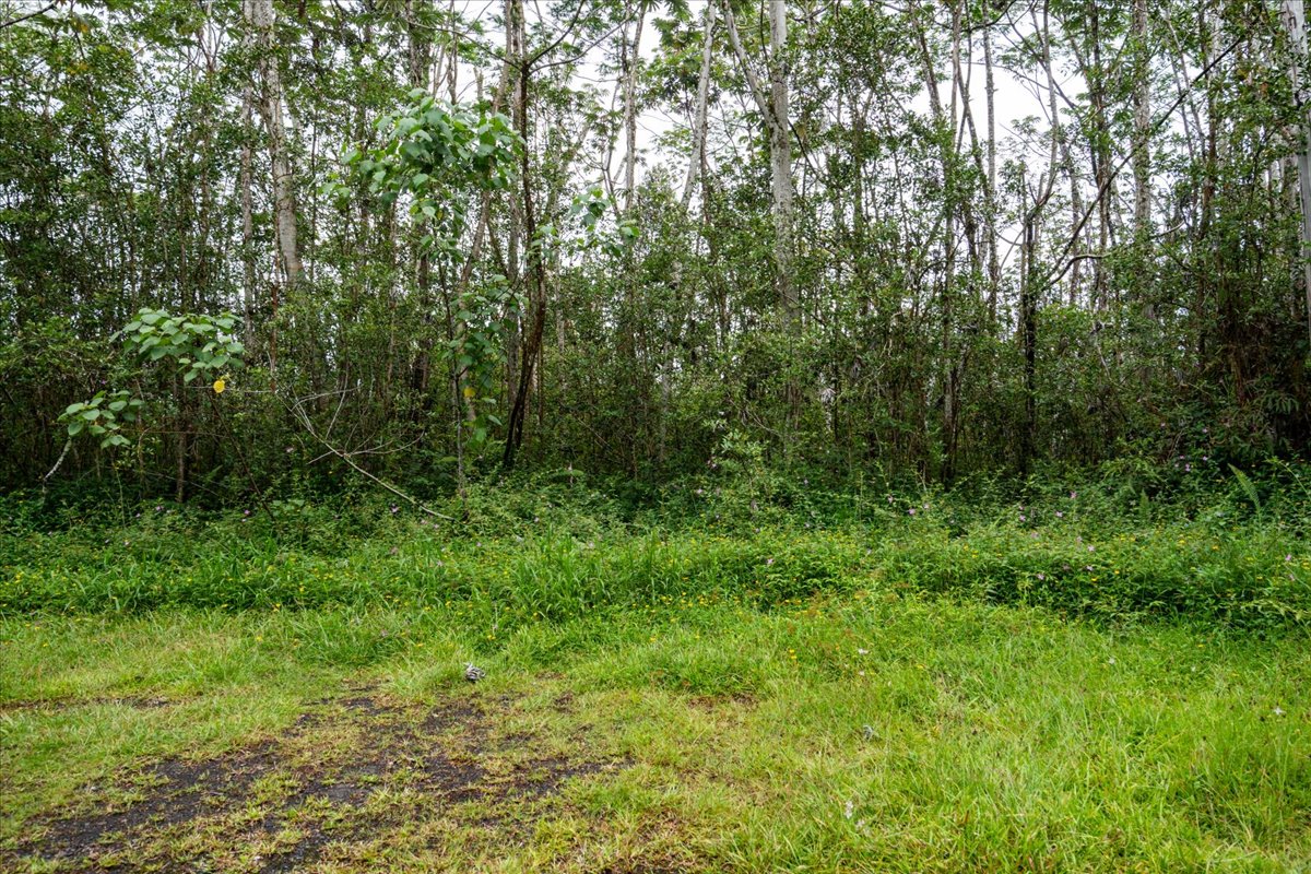 14-3515 Hilo Circle Property Photo 12