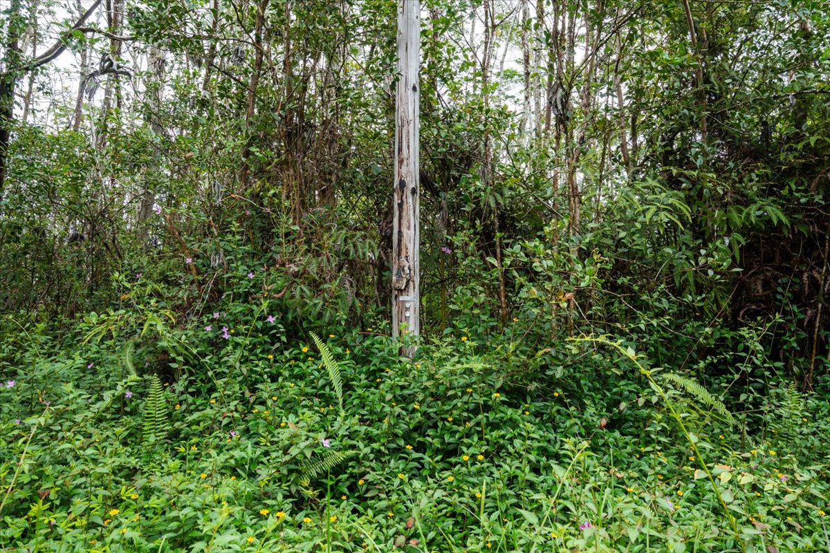 14-3515 Hilo Circle Property Photo 13