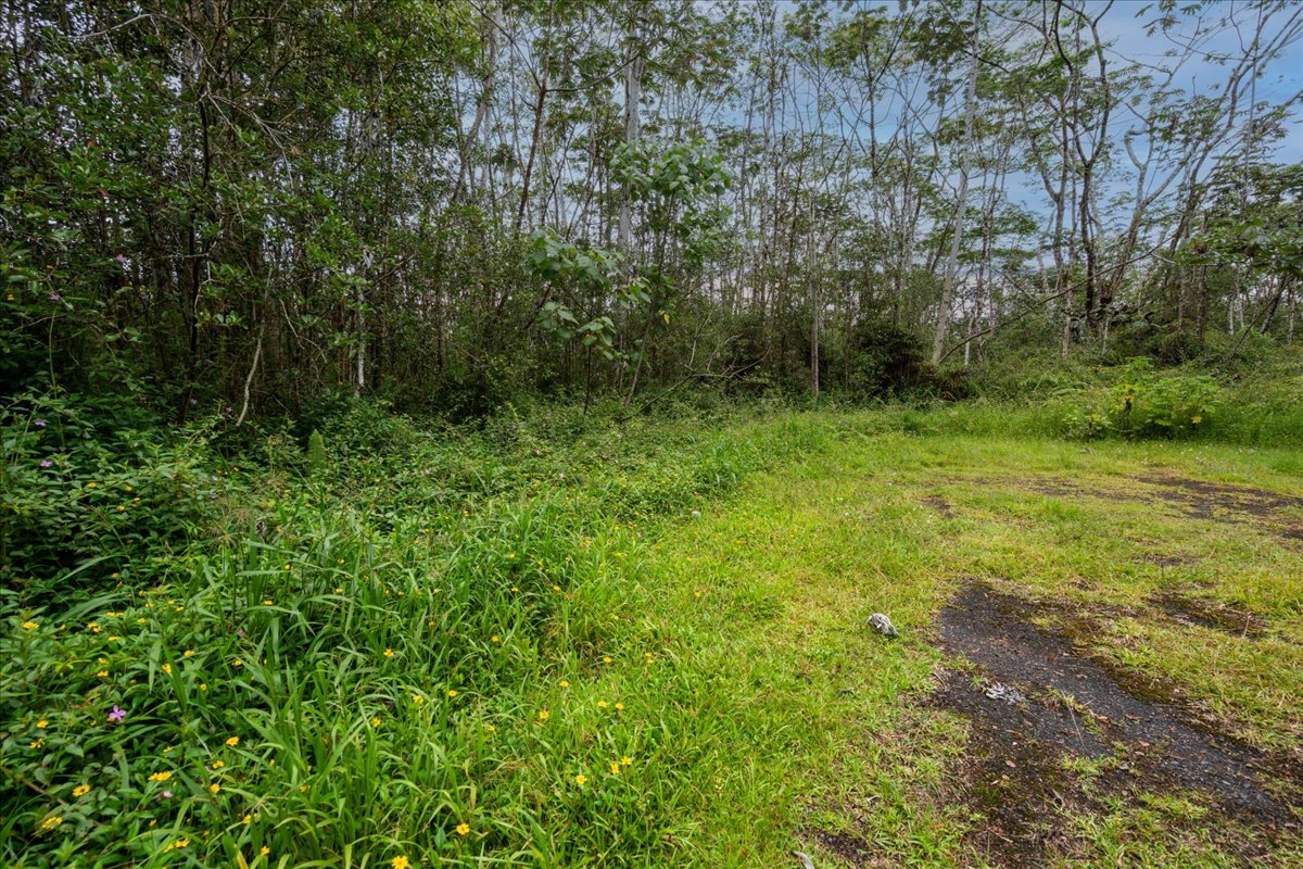 14-3515 Hilo Circle Property Photo 14