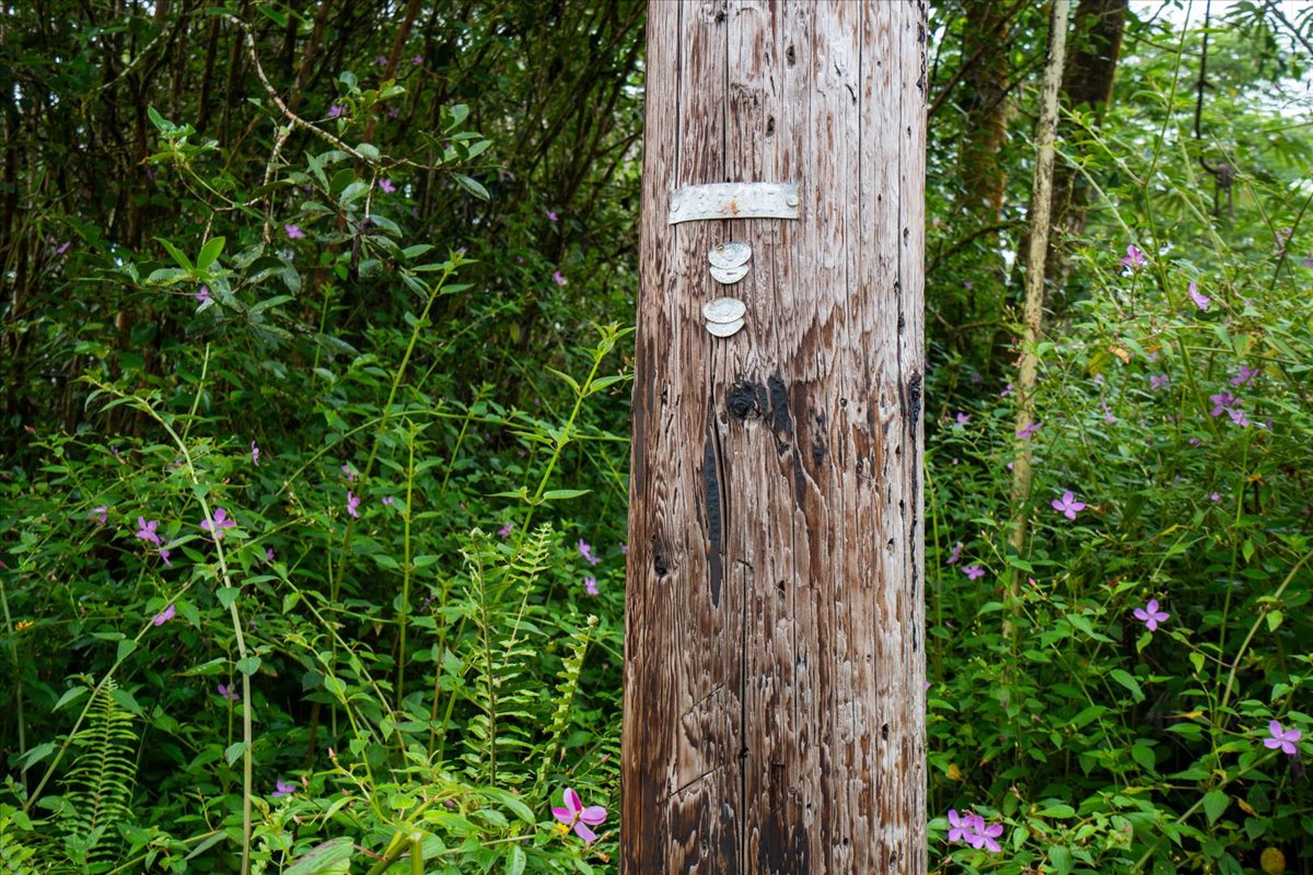 14-3515 Hilo Circle Property Photo 15