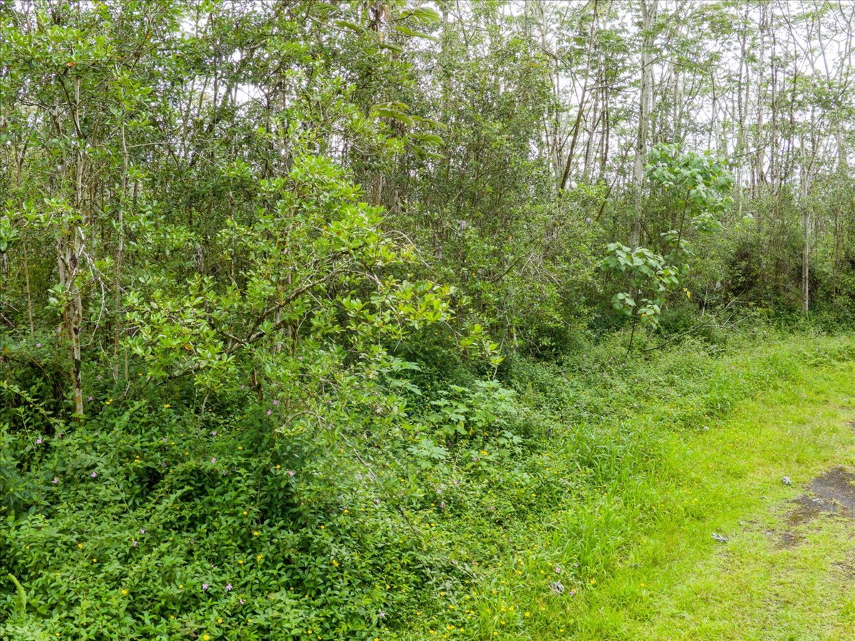 14-3515 Hilo Circle Property Photo 16