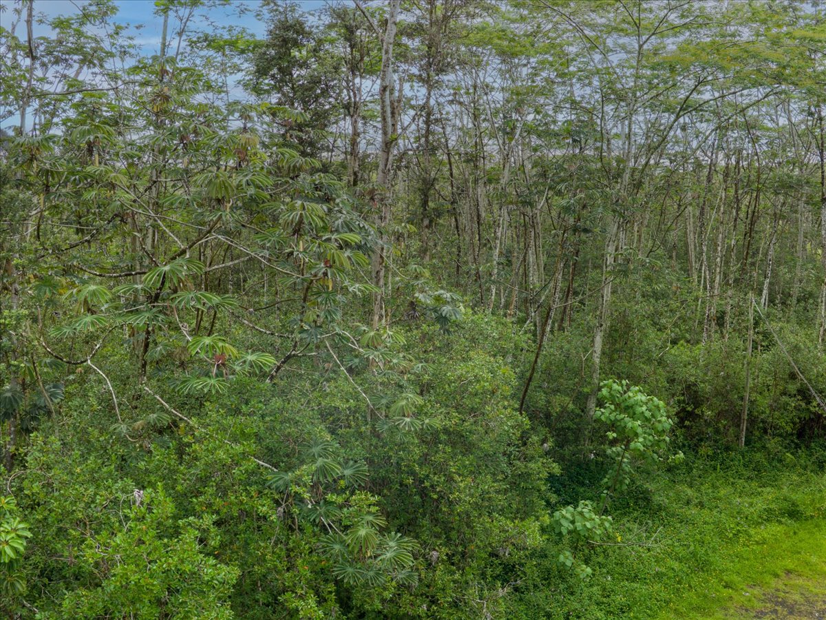 14-3515 Hilo Circle Property Photo 17