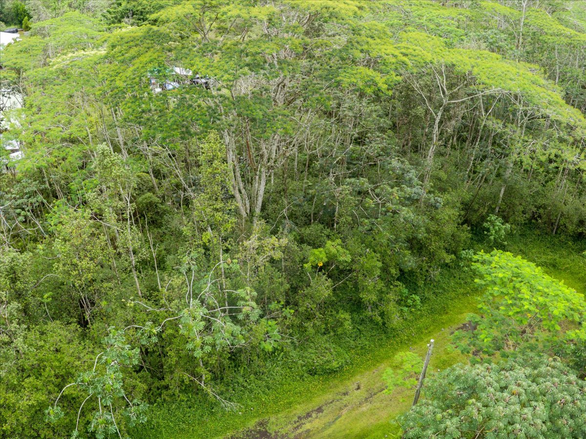 14-3515 Hilo Circle Property Photo 18
