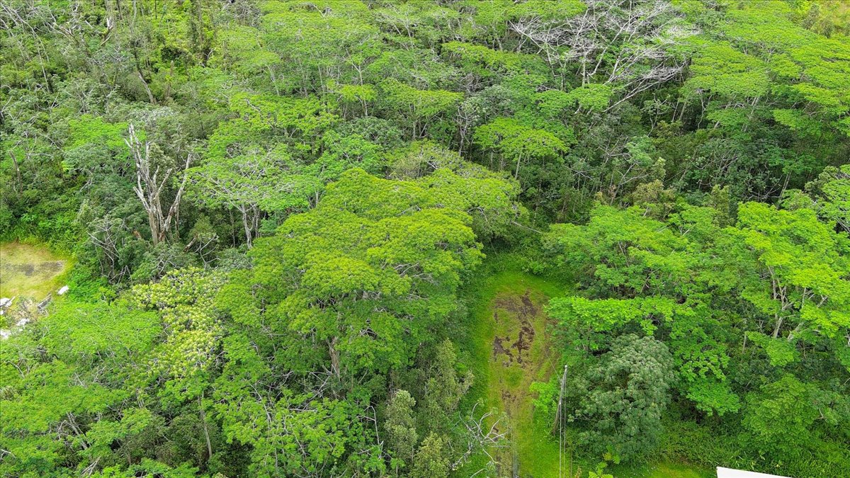 14-3515 Hilo Circle Property Photo 19