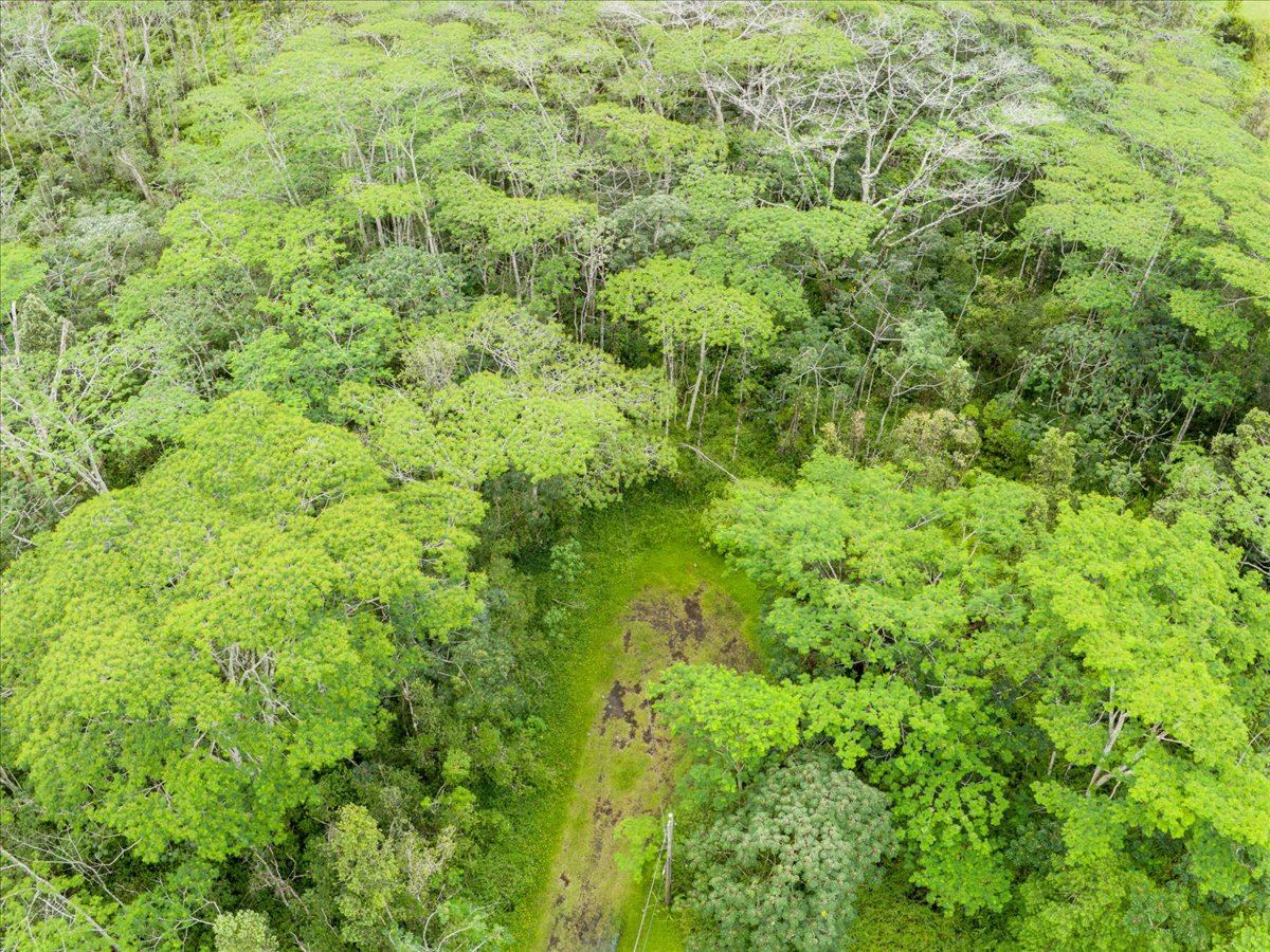 14-3515 Hilo Circle Property Photo 20