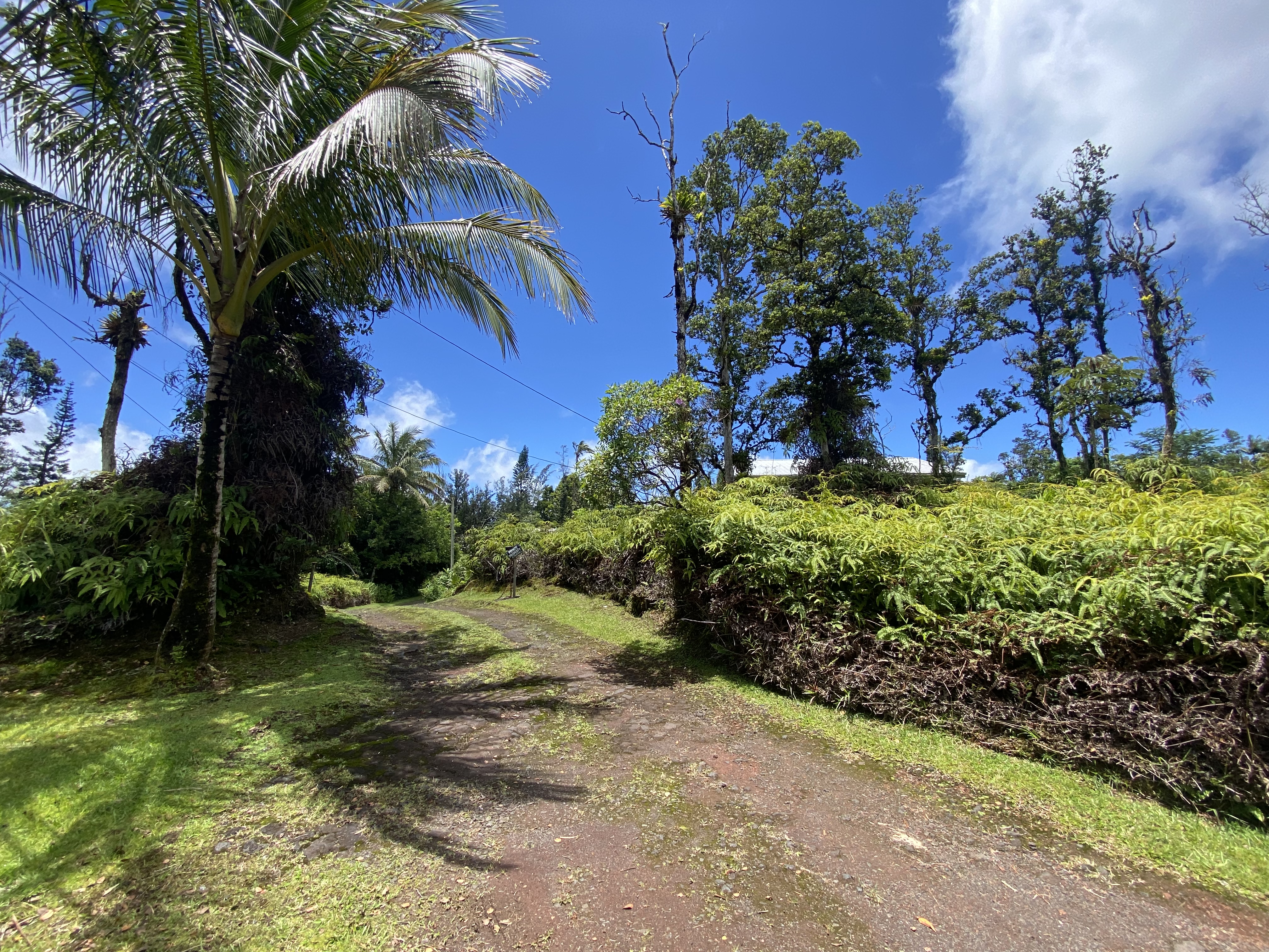 13-1315 Leilani Ave Property Photo 30