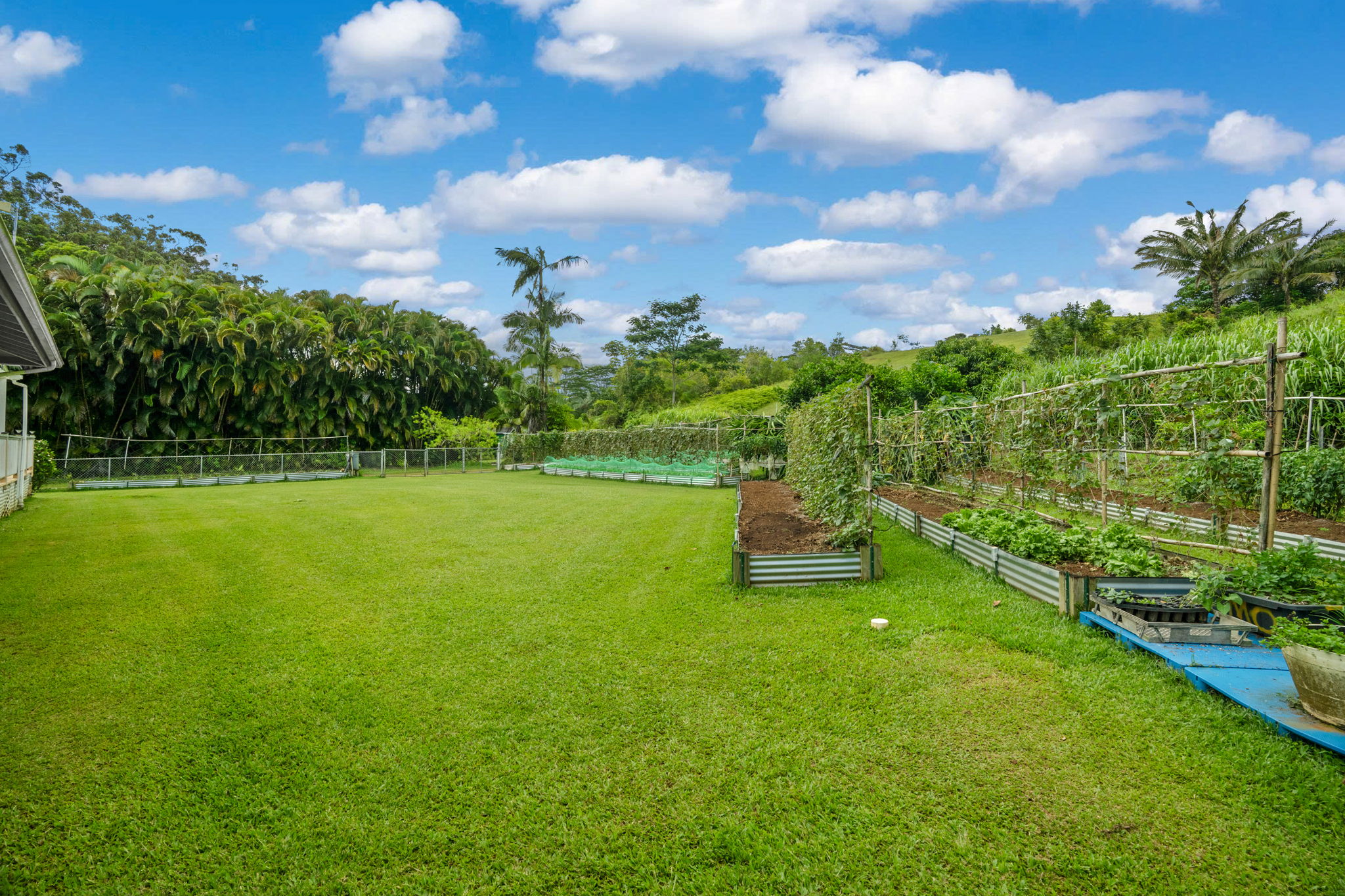 6456 Kipapa Rd Property Photo 9