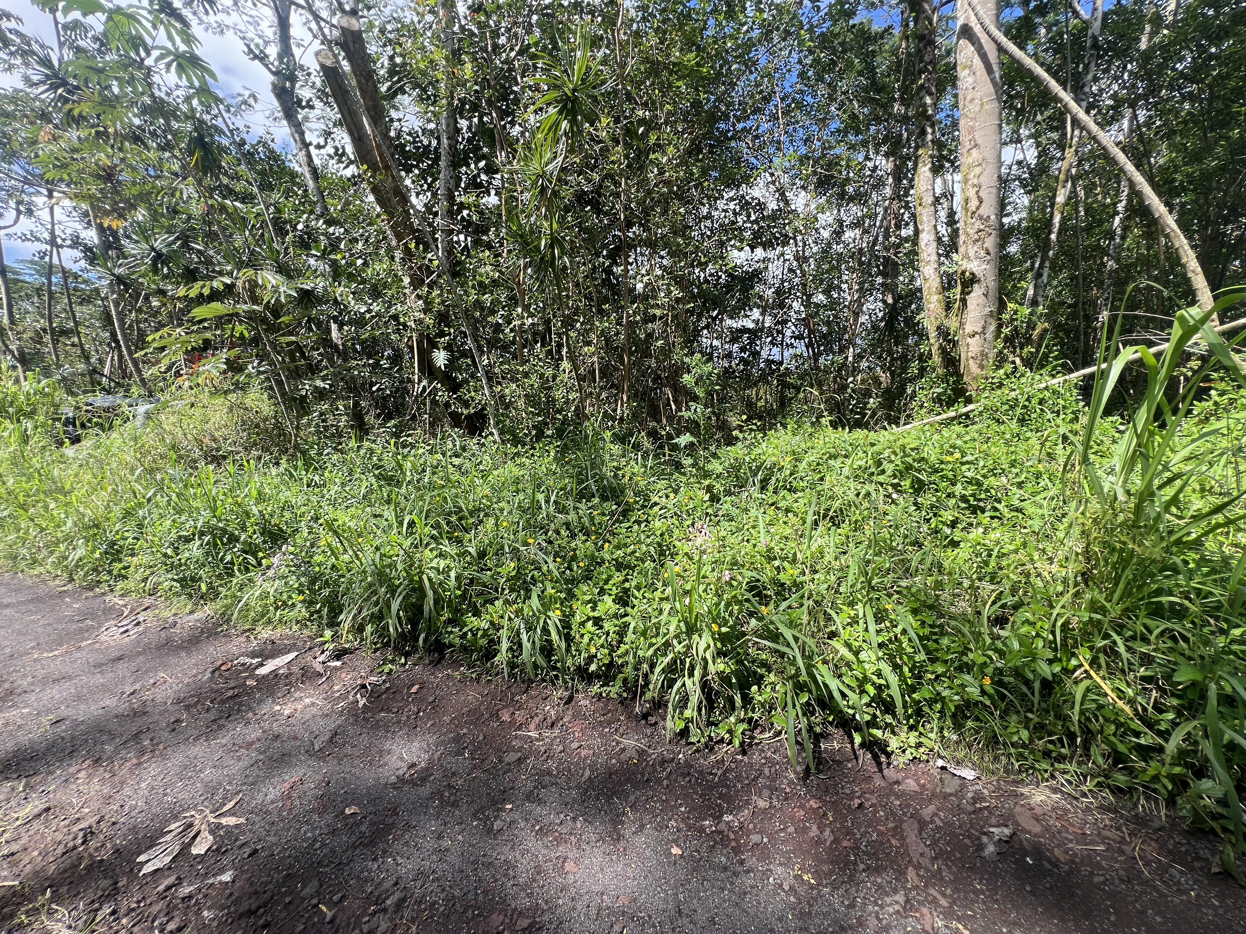 Tiki Rd Property Photo 1