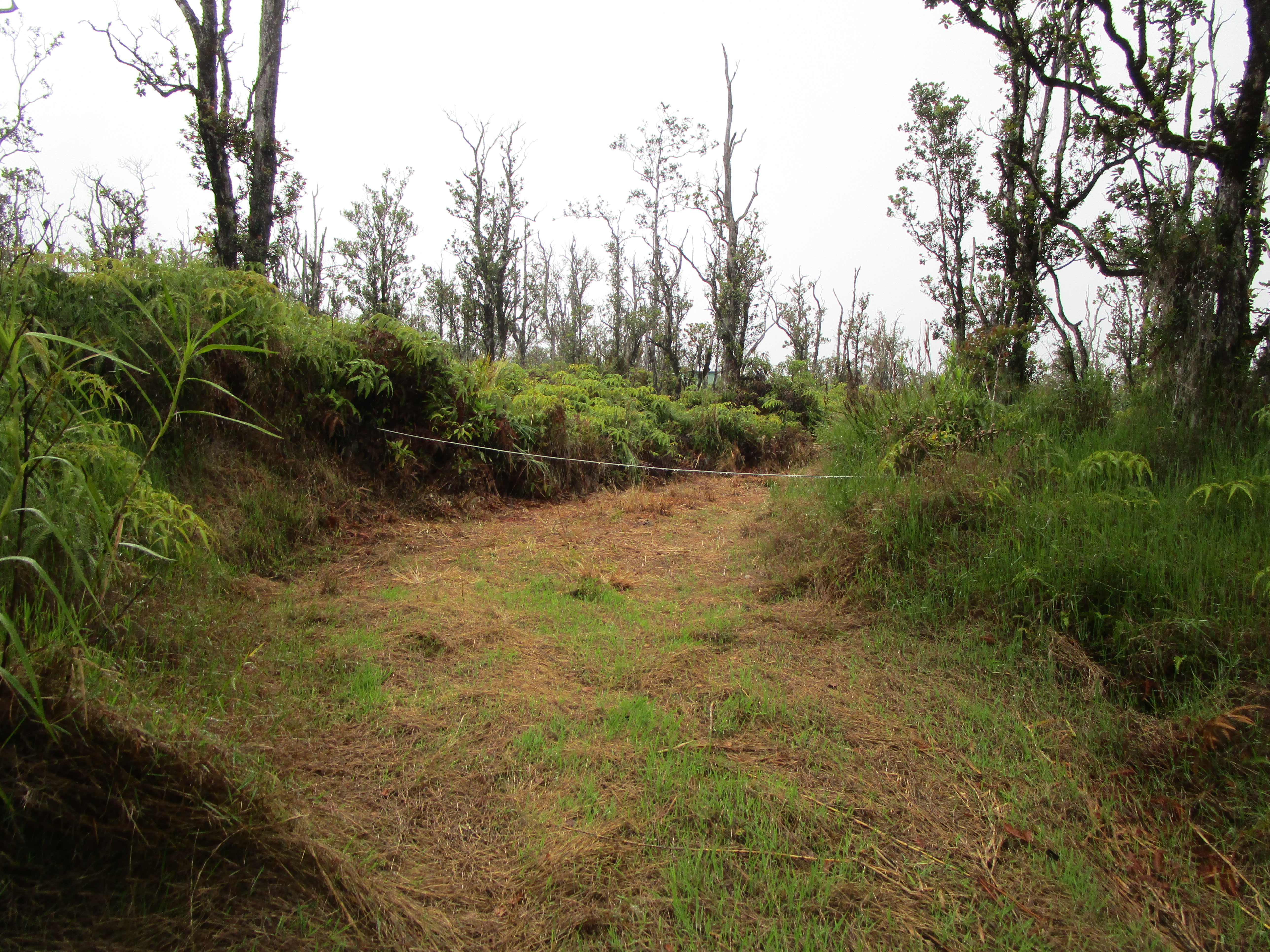 Omeka Rd Property Photo 5