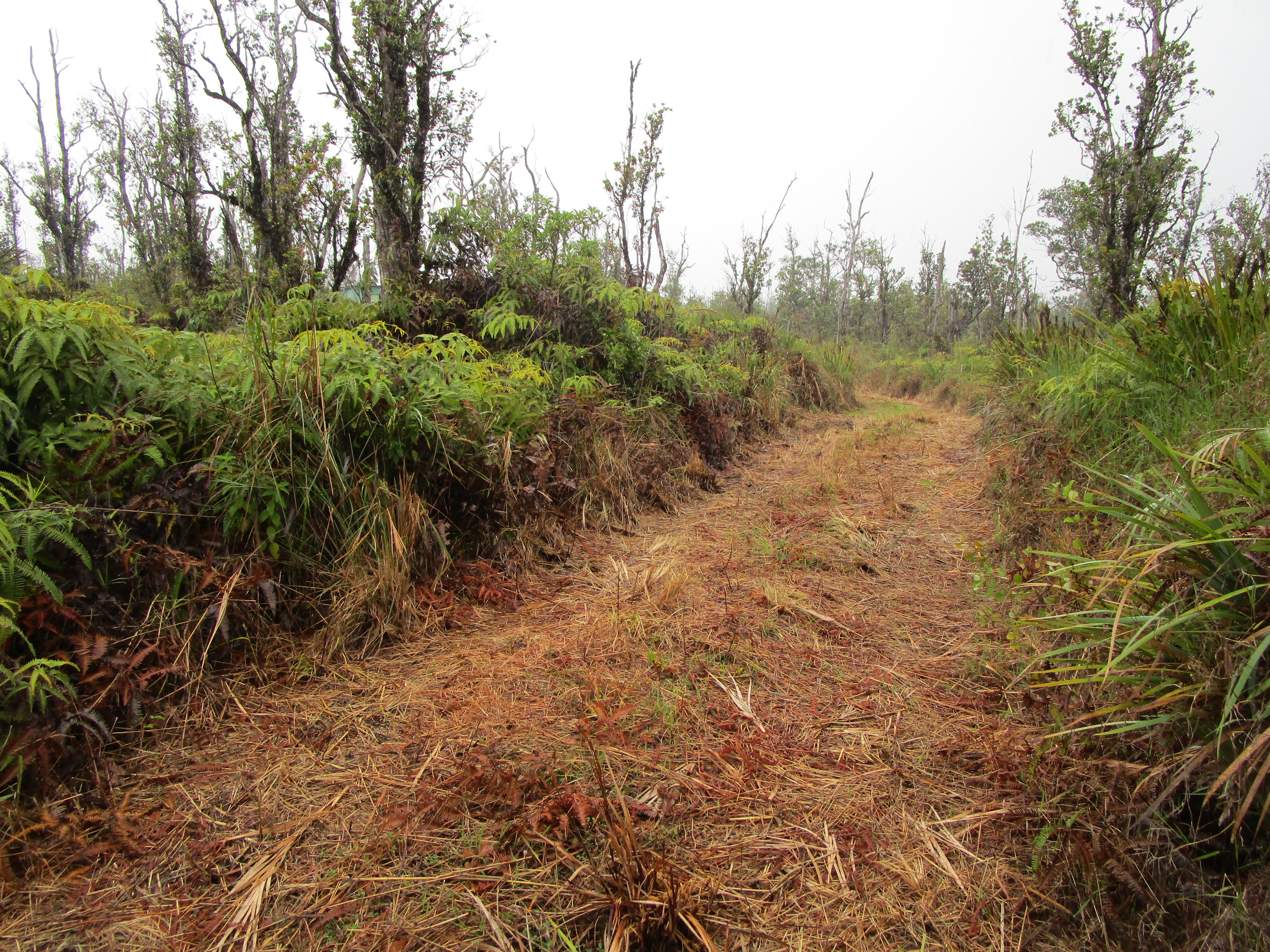 Omeka Rd Property Photo 6