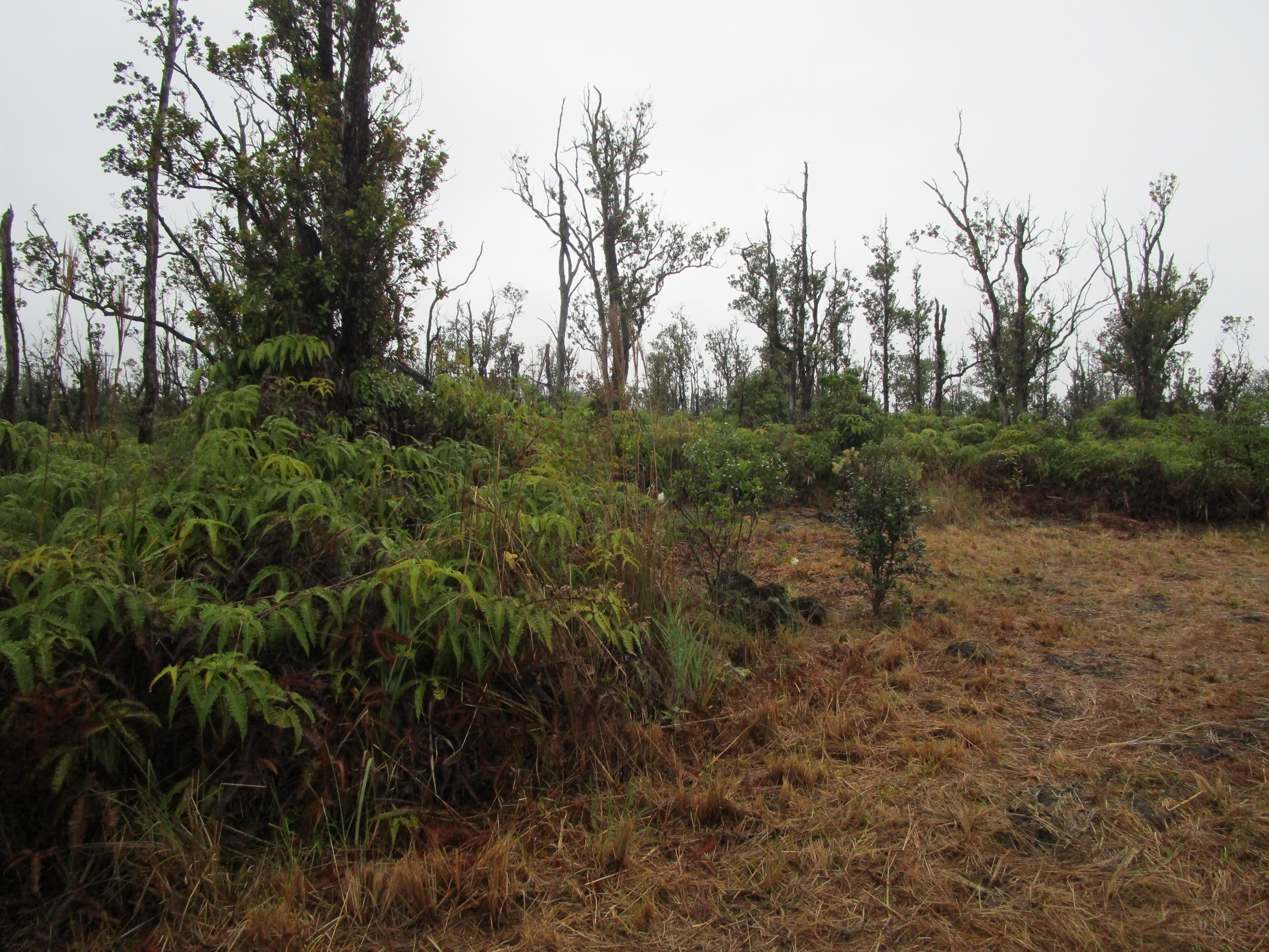 Omeka Rd Property Photo 9