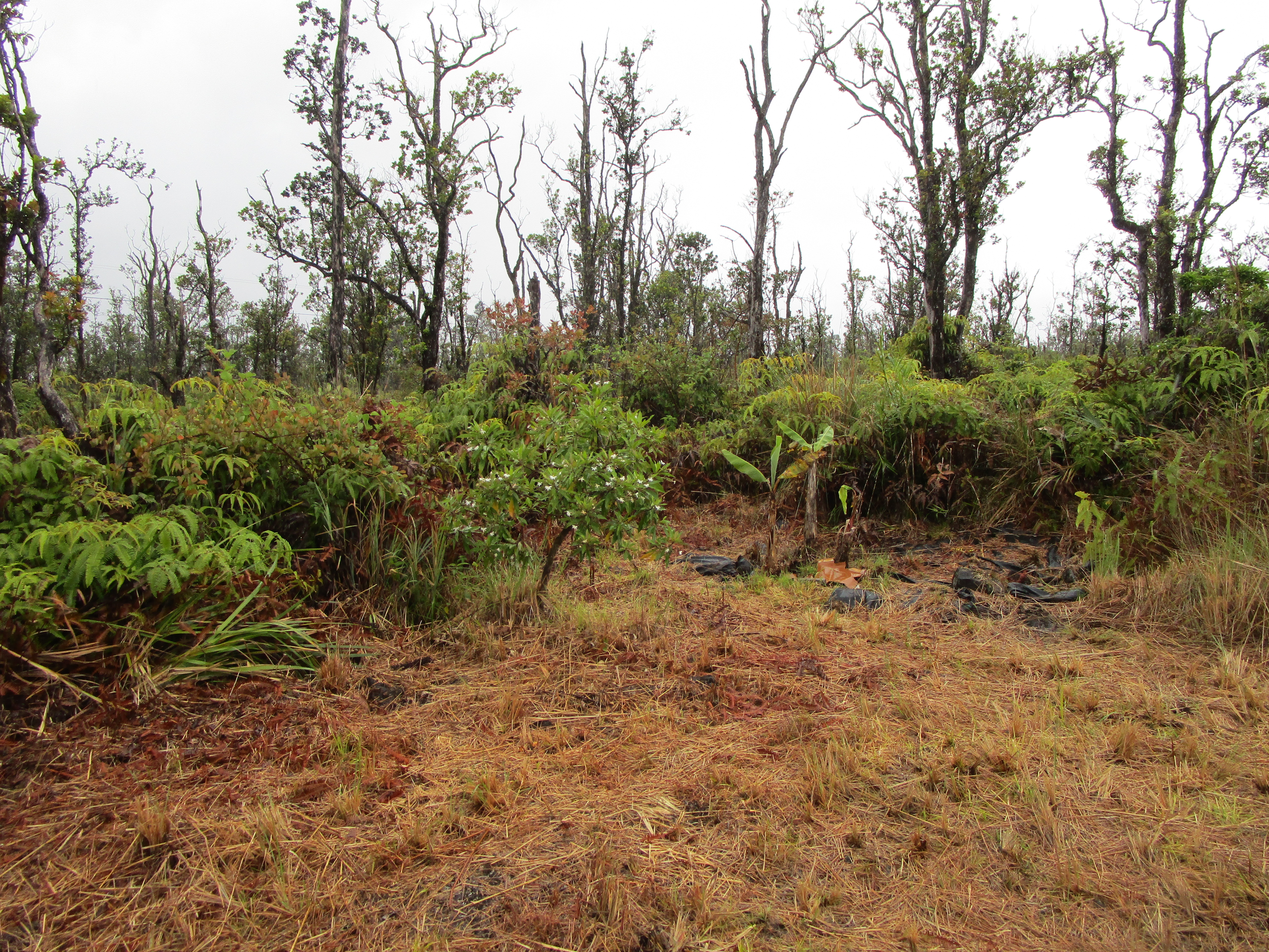 Omeka Rd Property Photo 10