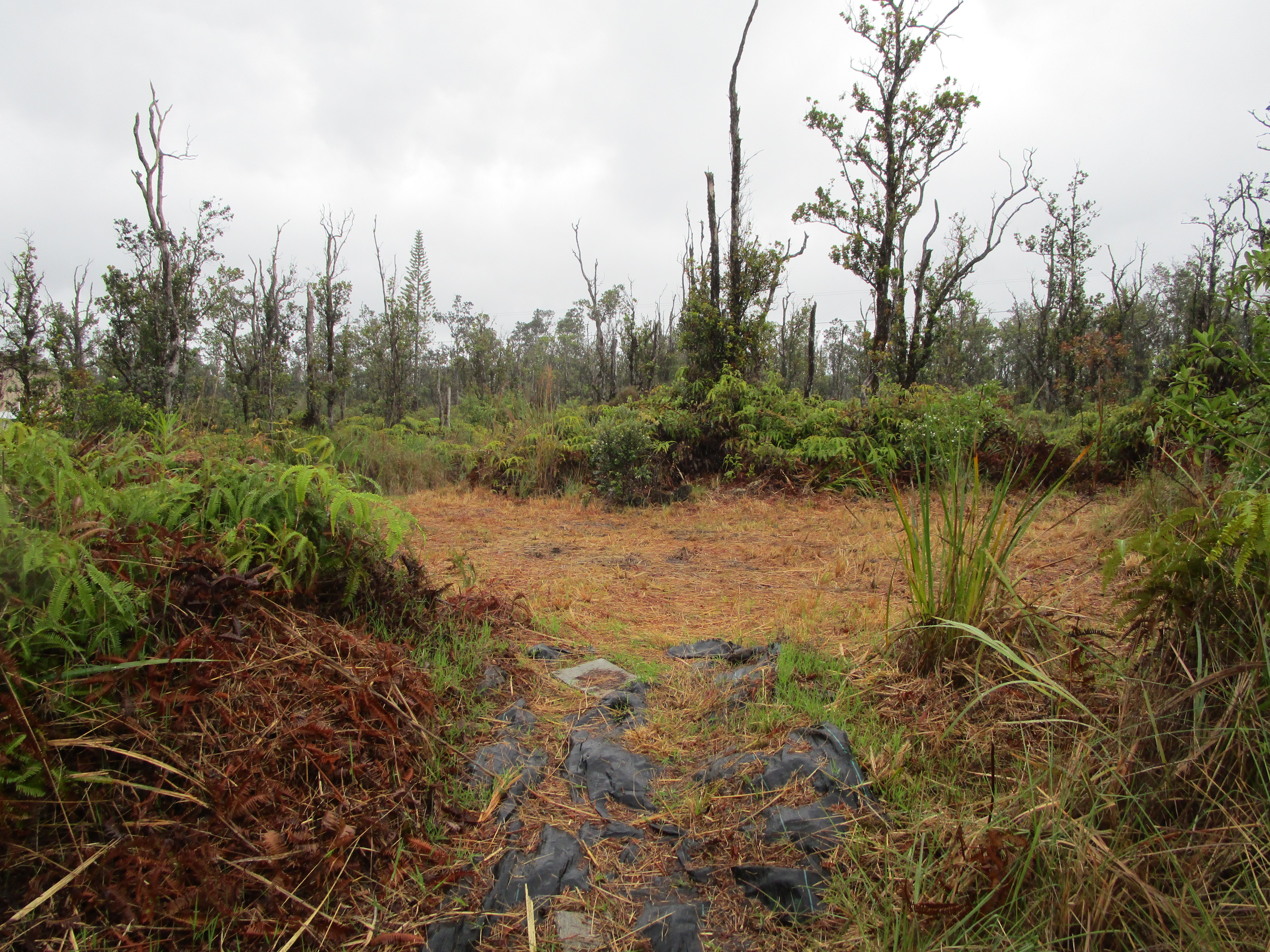 Omeka Rd Property Photo 12