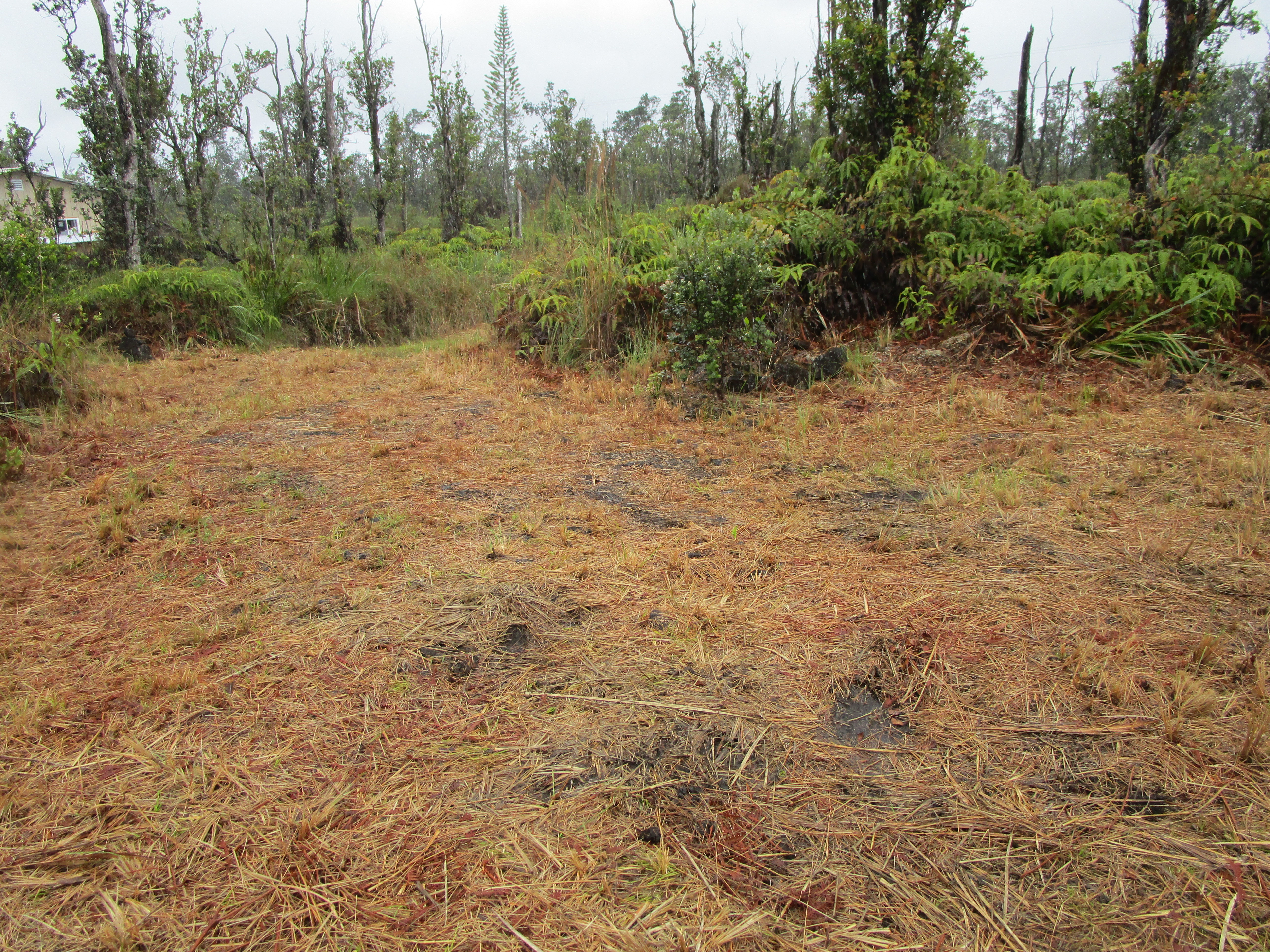 Omeka Rd Property Photo 13