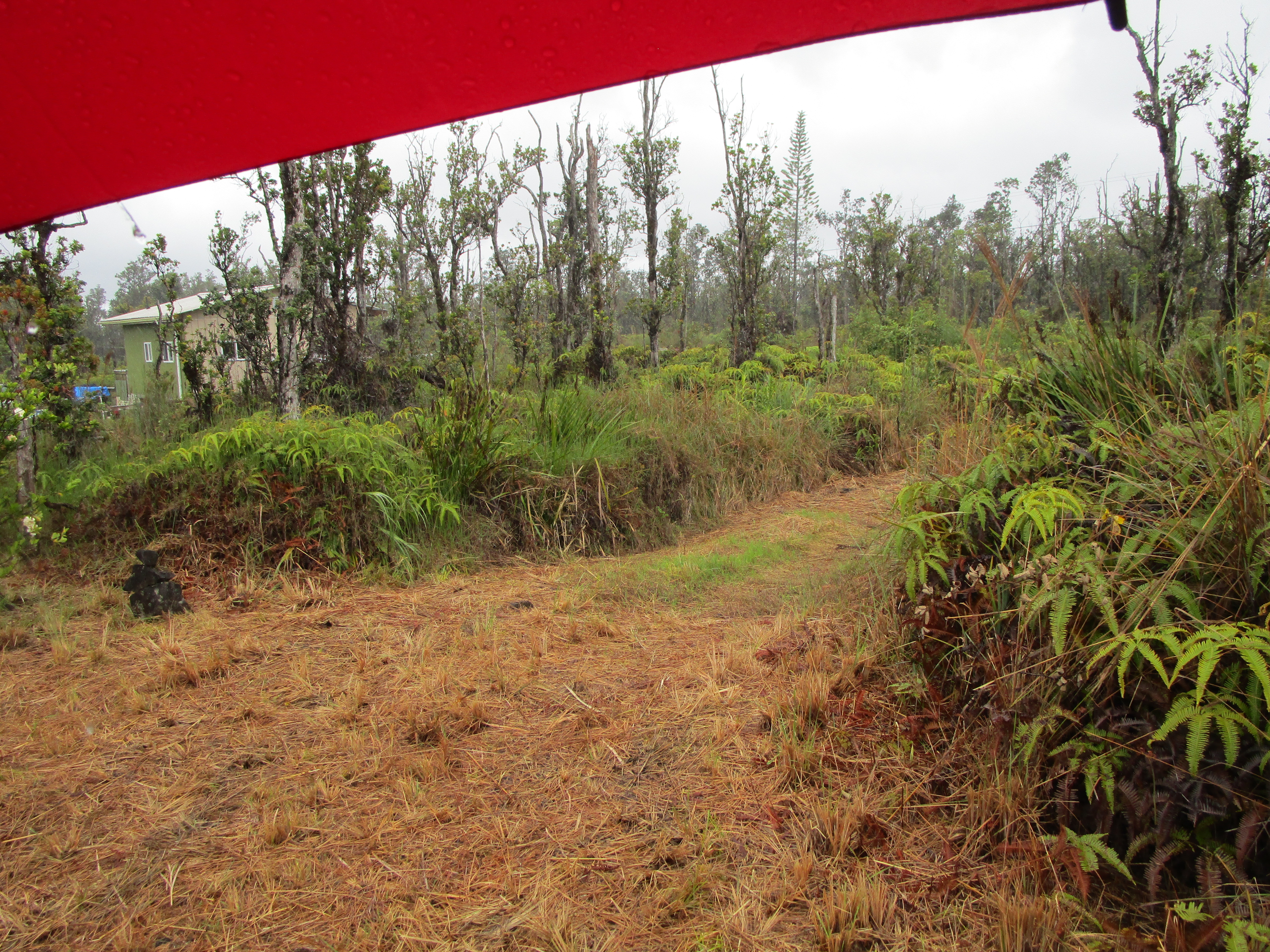 Omeka Rd Property Photo 14