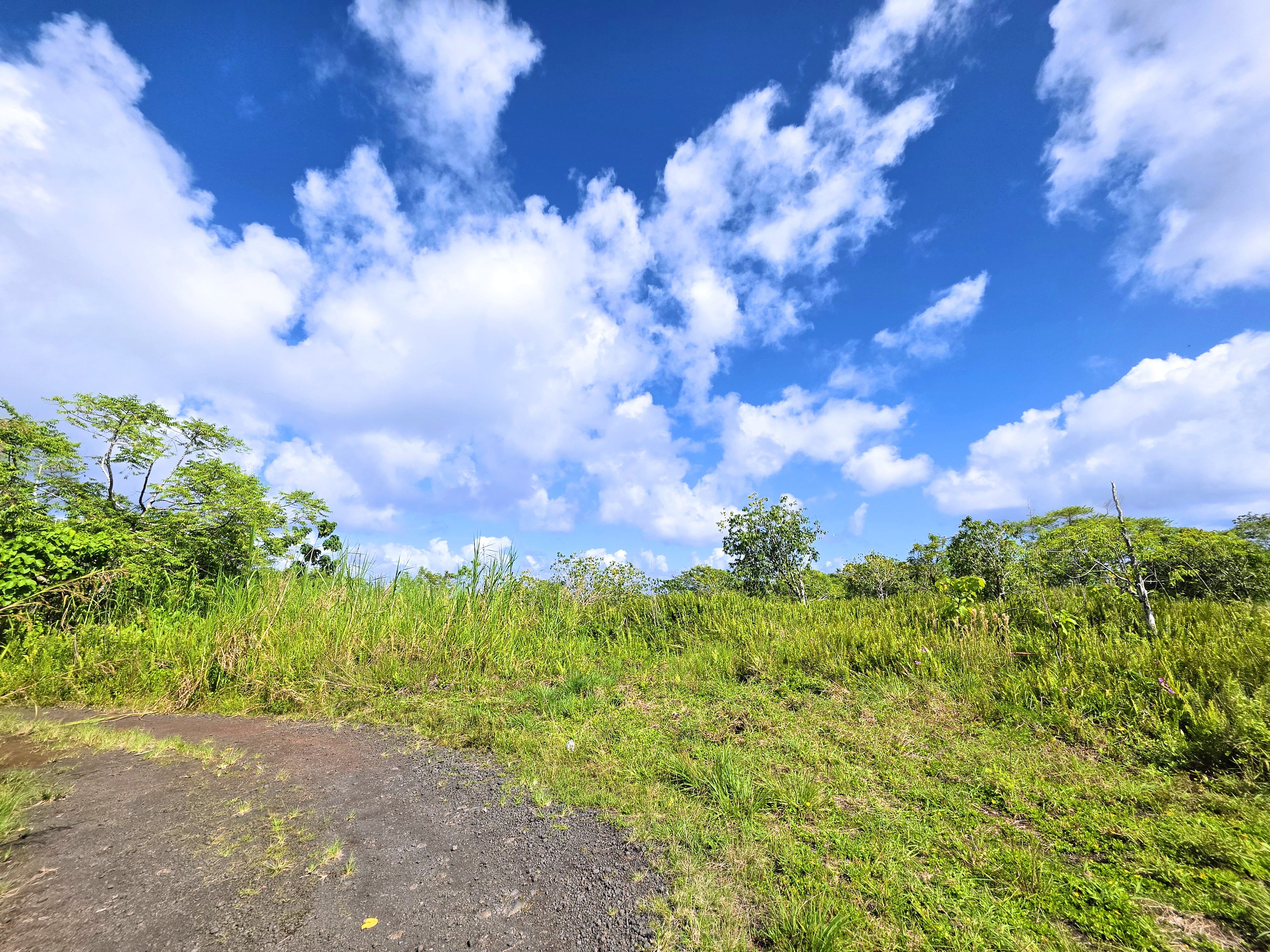 Pohoiki Kalapana Rd Property Photo 1