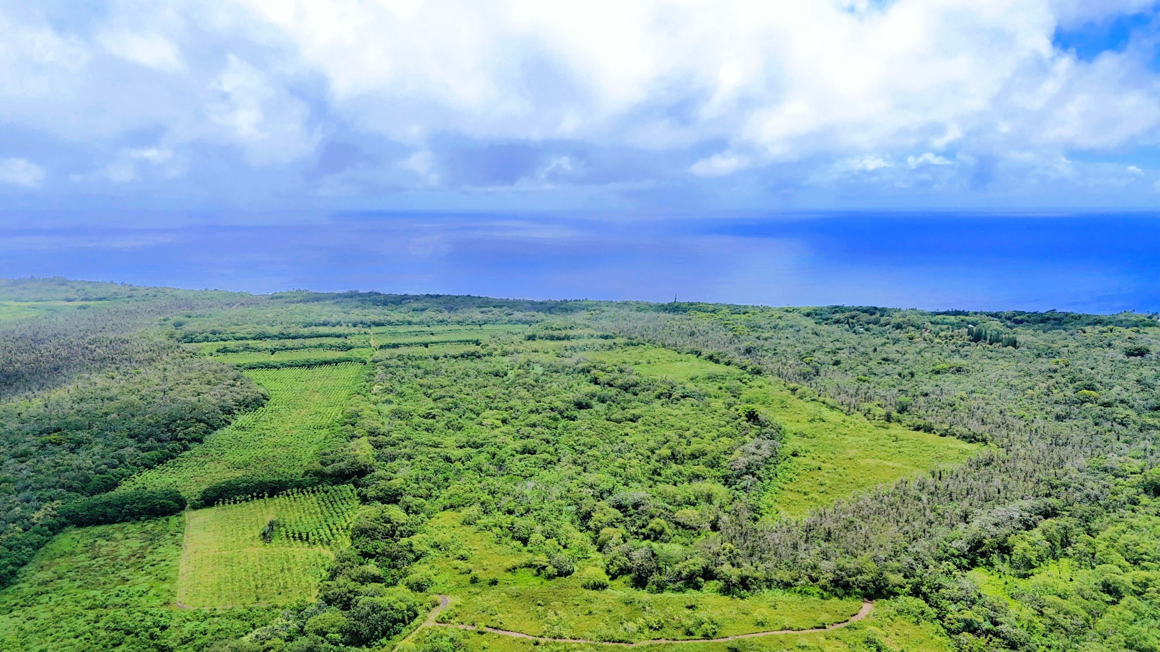 Pohoiki Kalapana Rd Property Photo 1