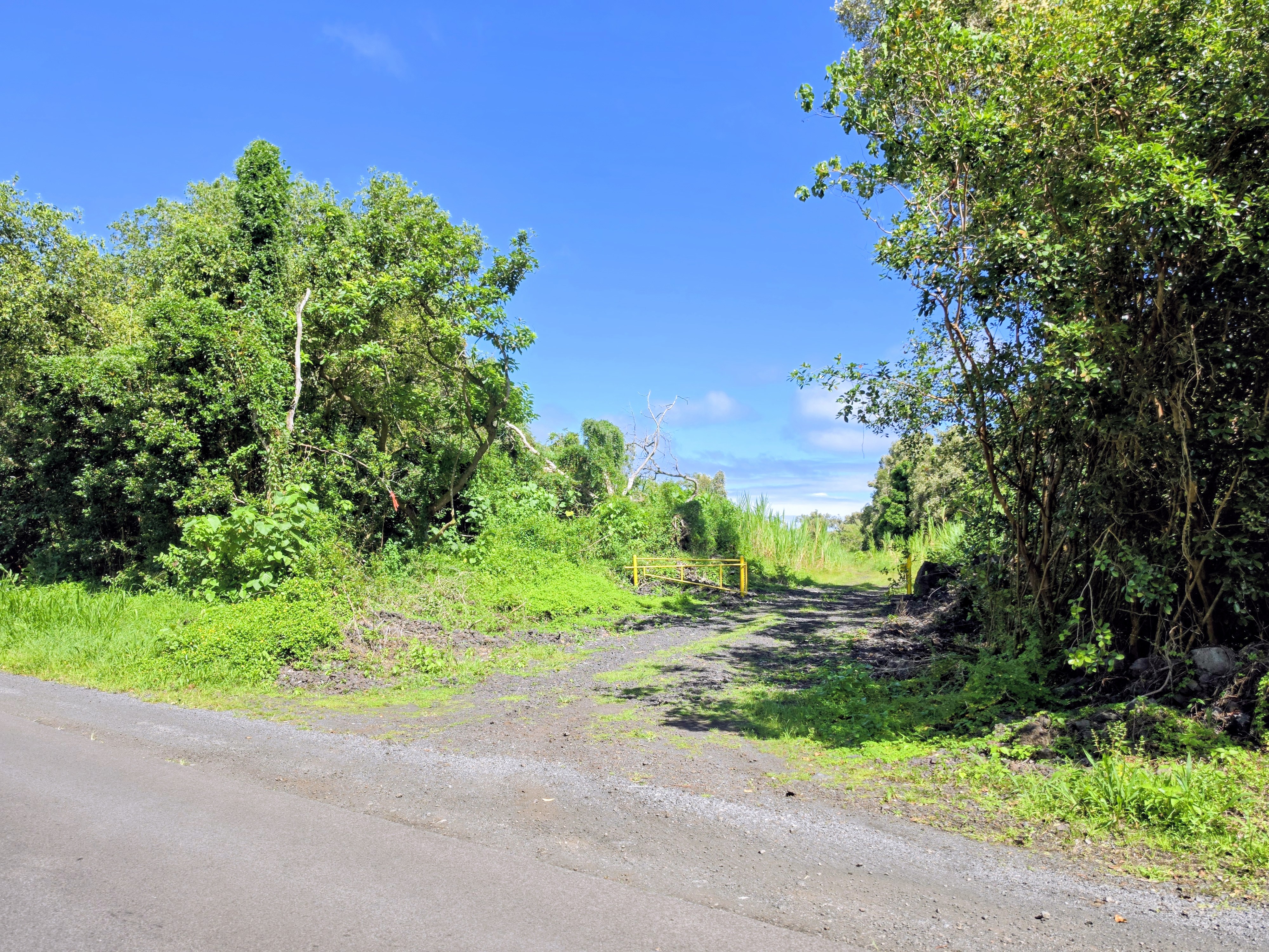 Pohoiki Kalapana Rd Property Photo 5