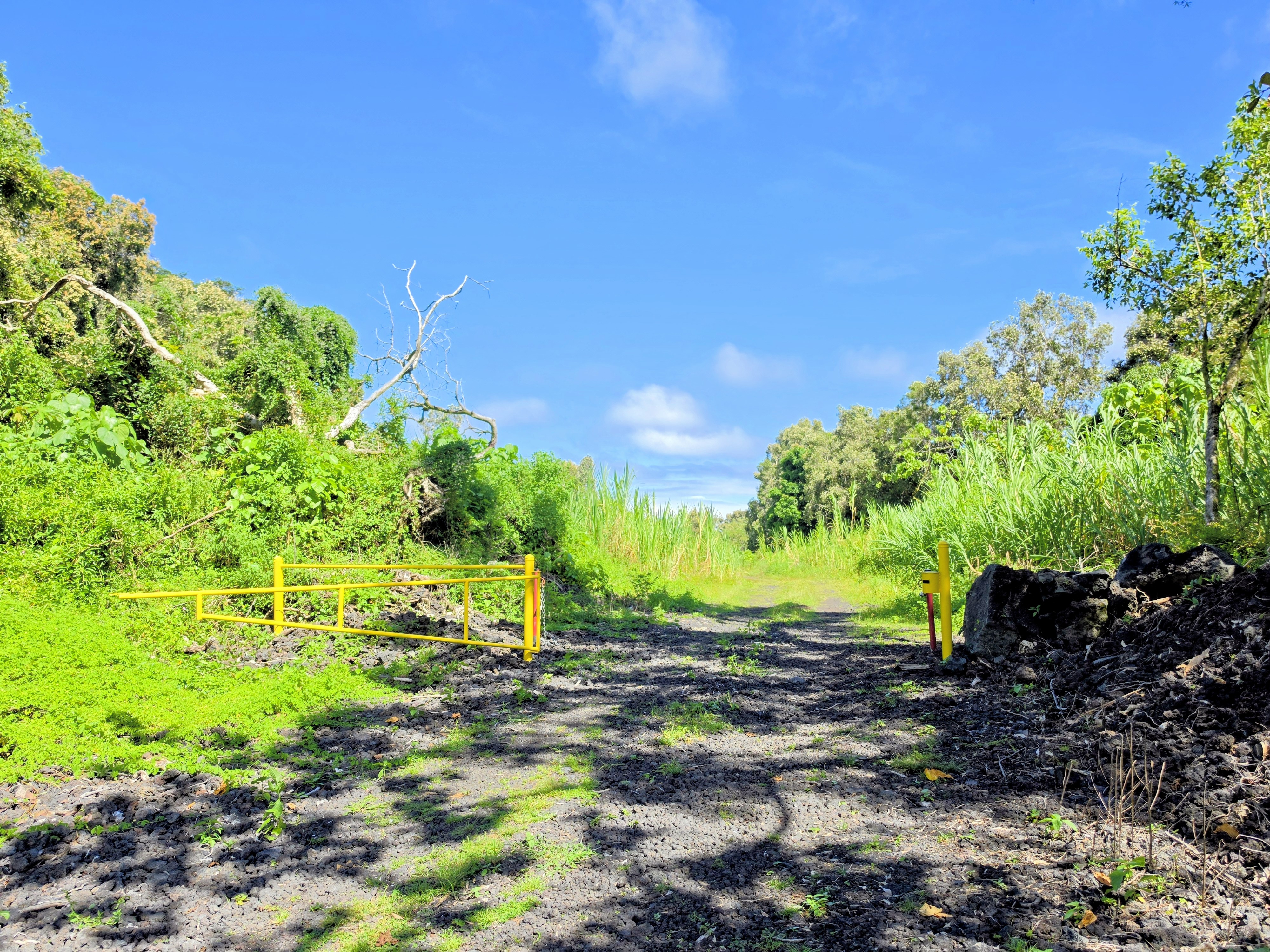 Pohoiki Kalapana Rd Property Photo 6