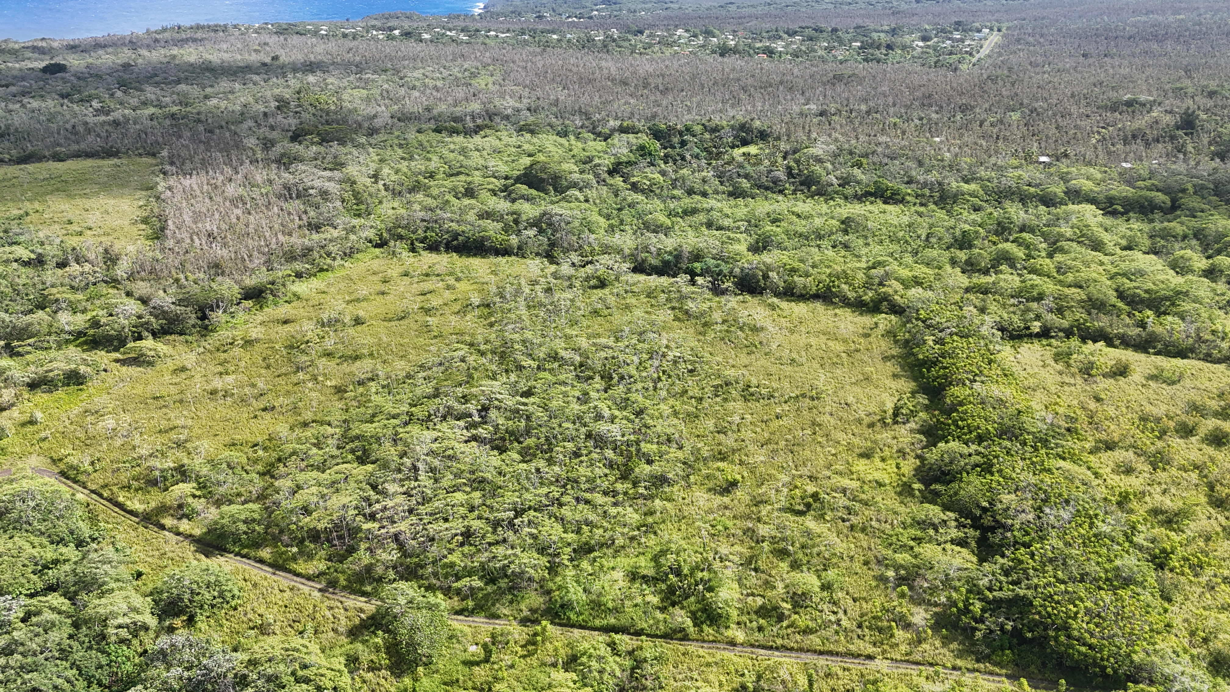 Pohoiki Kalapana Rd Property Photo 9