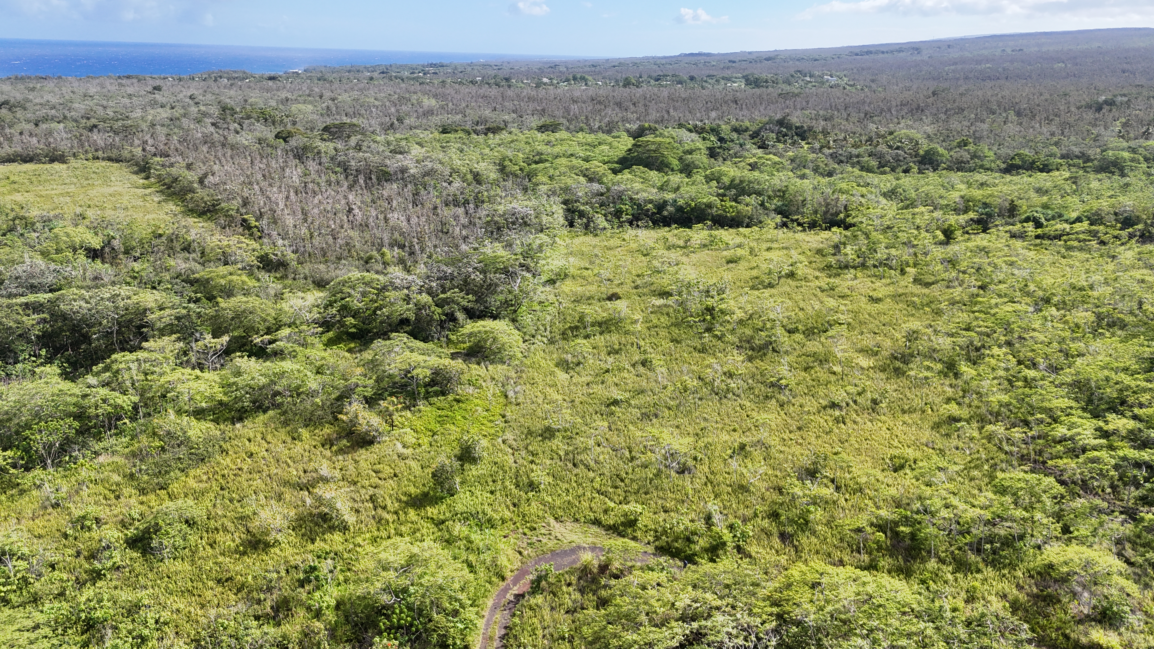 Pohoiki Kalapana Rd Property Photo 10
