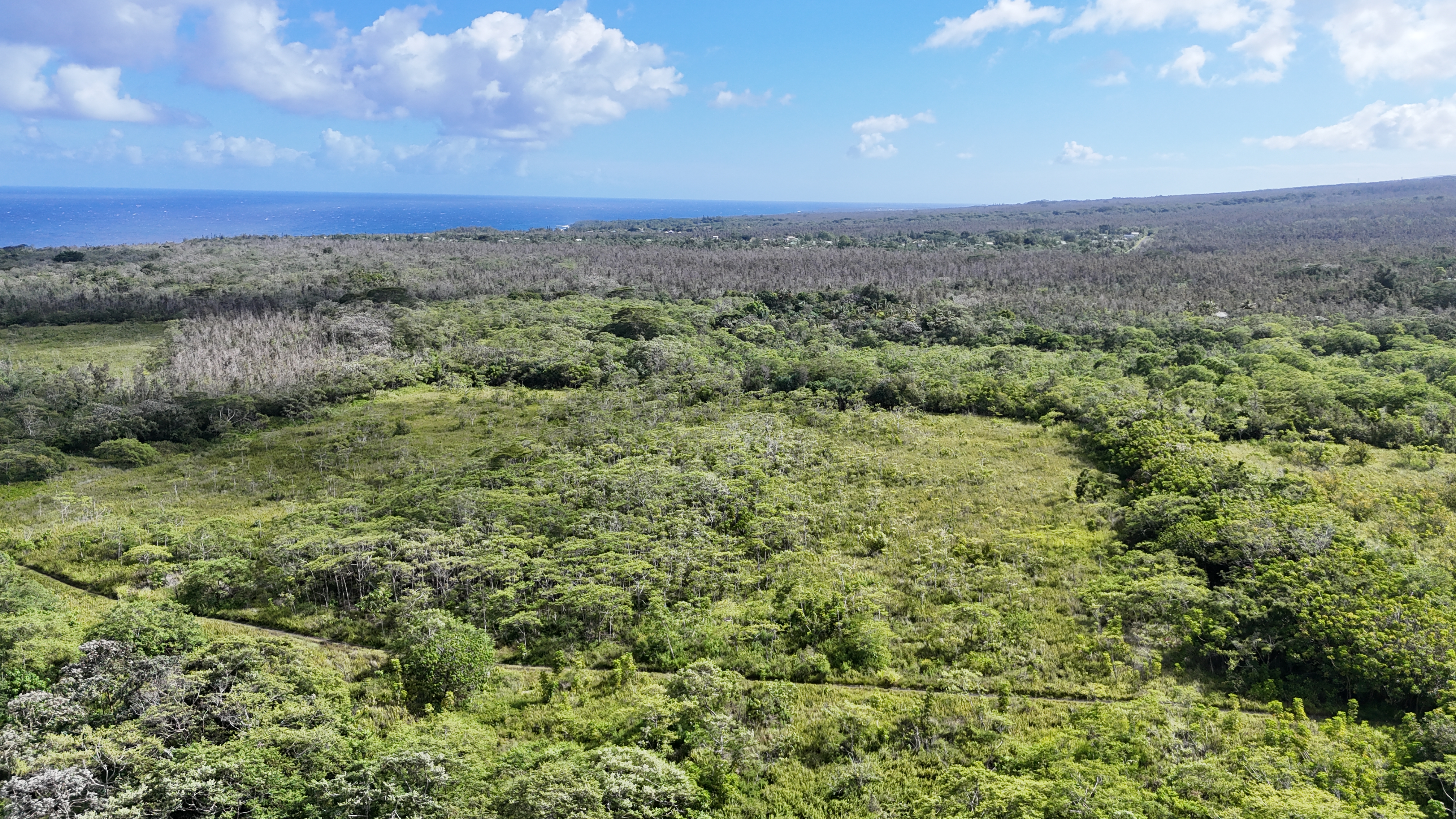 Pohoiki Kalapana Rd Property Photo 11