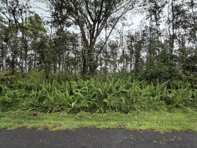 Puna Rd Property Photo 1
