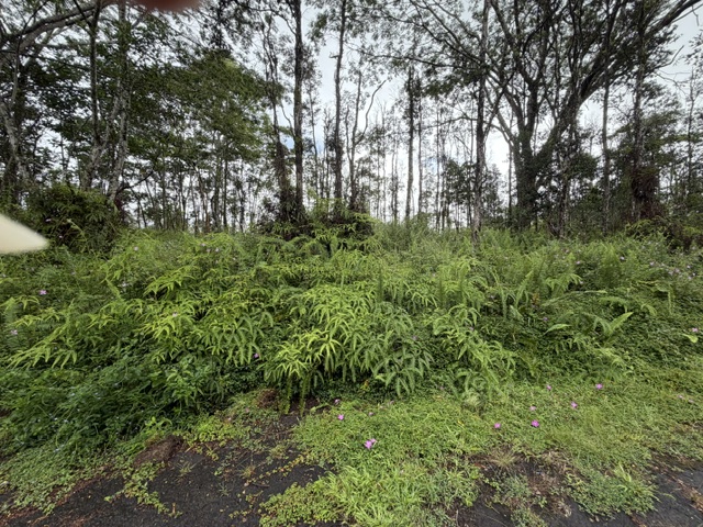 Puna Rd Property Photo 4